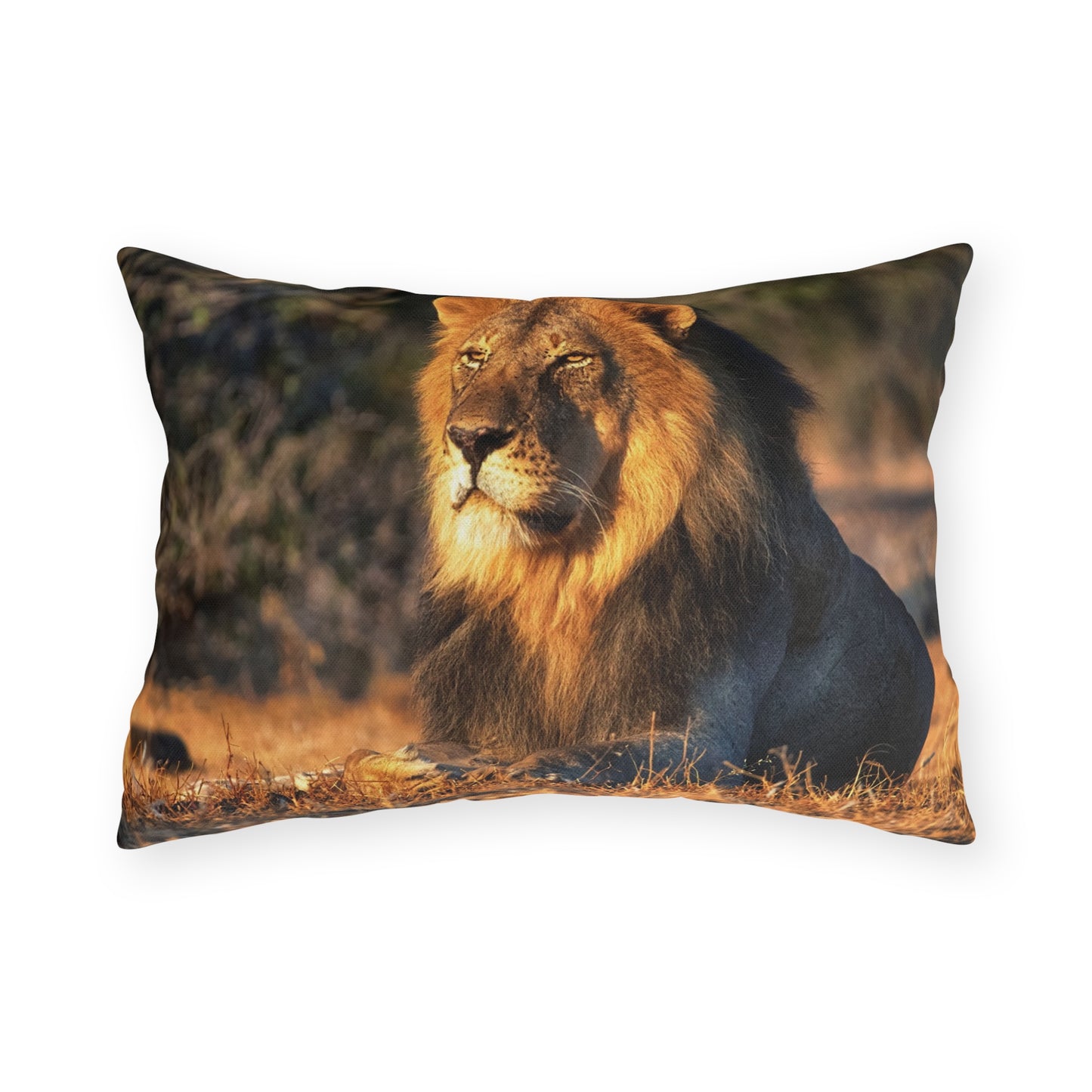 Enjoy Nature Outdoor Pillow with Lion King of Jungle – Artistic, Comfy, and Durable Decorative Accent