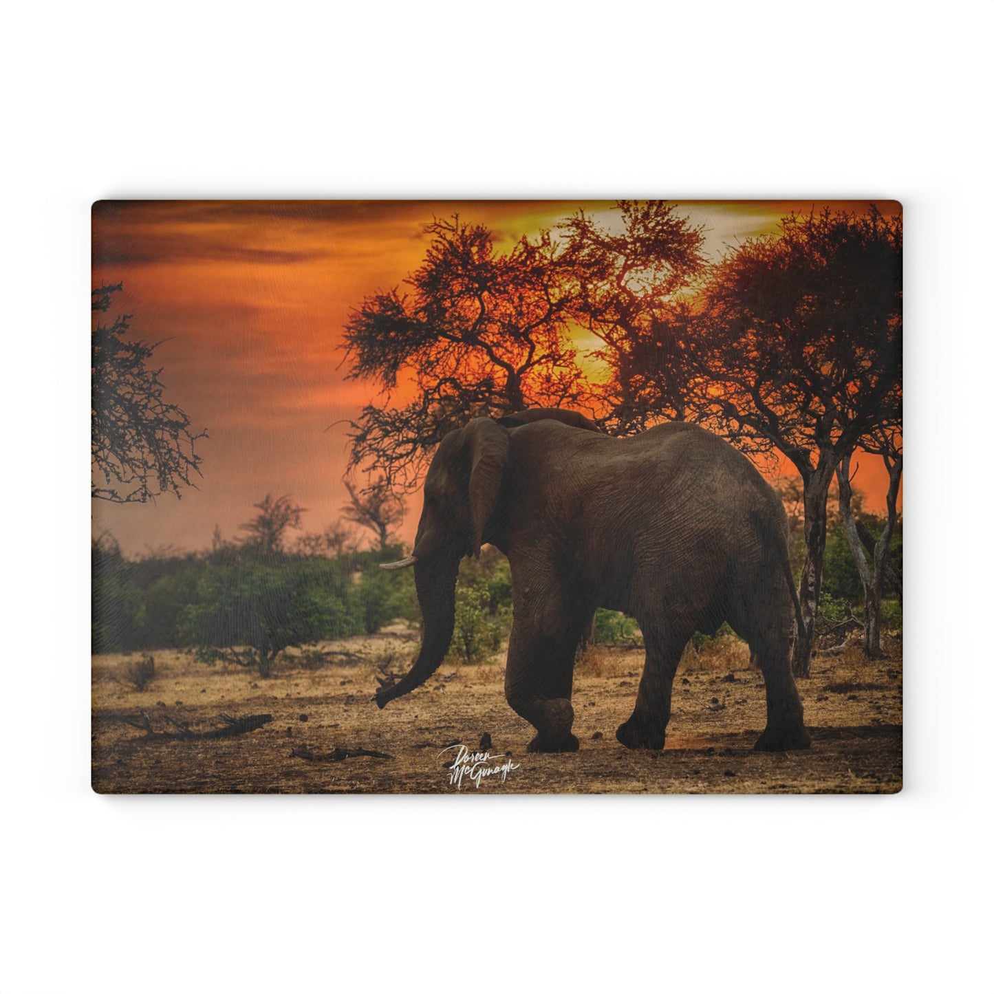 Enjoy Nature Glass Charcuterie Cutting Board with Spirited Elephant at Sunset Design