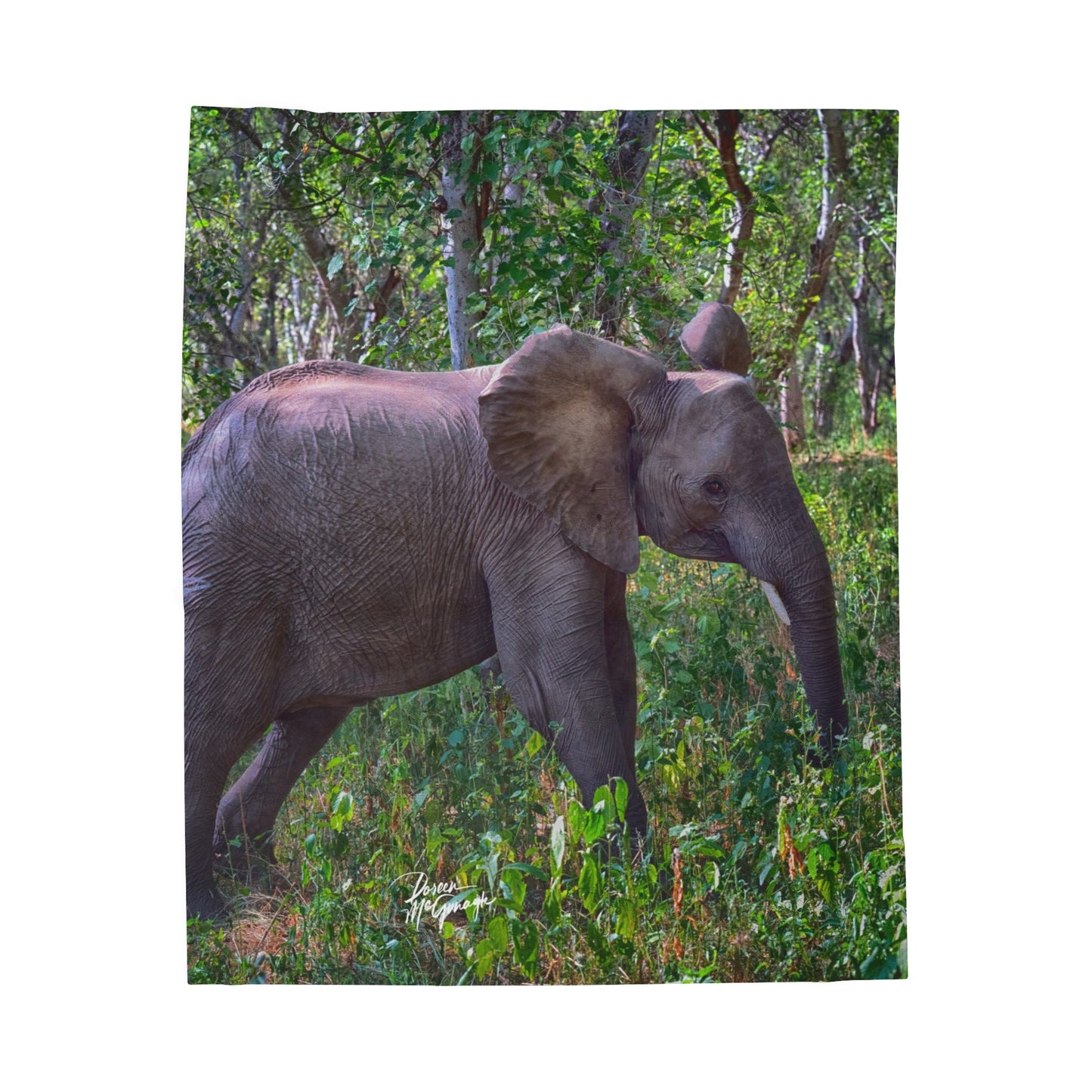 Velveteen Plush Blanket with Elephant Baby in Forest by Enjoy Nature