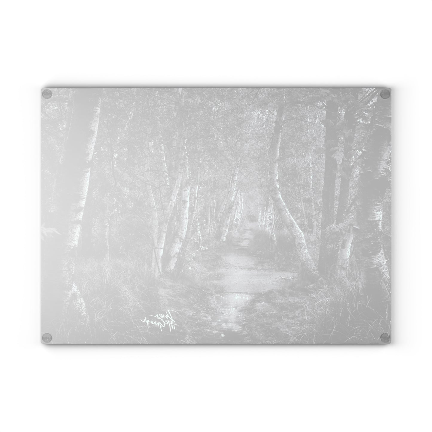 Glass cutting board designs, cheese & charcuterie board, landscape design glass cutting board,cutting board, Maine Silver Birch Forest Path