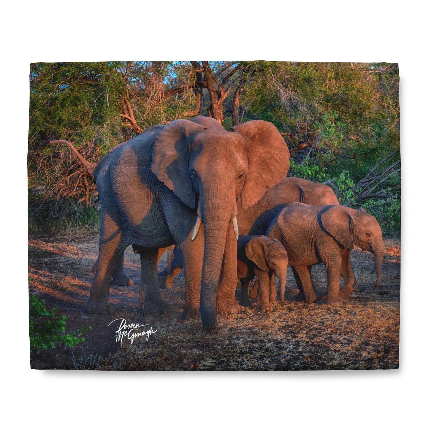 Enjoy Nature Spirited Elephant Family Duvet Cover