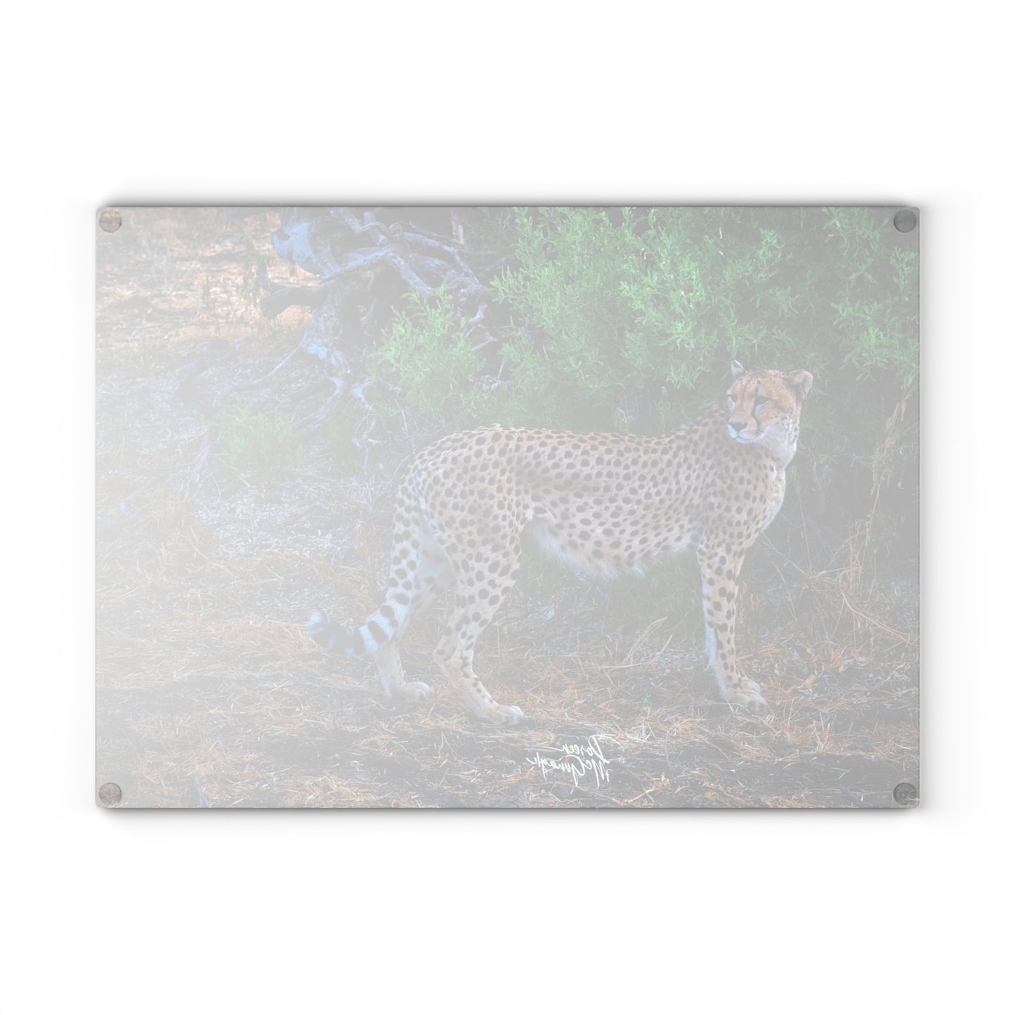 Enjoy Nature Glass Charcuterie Cutting Board with Cheetah Stand Design