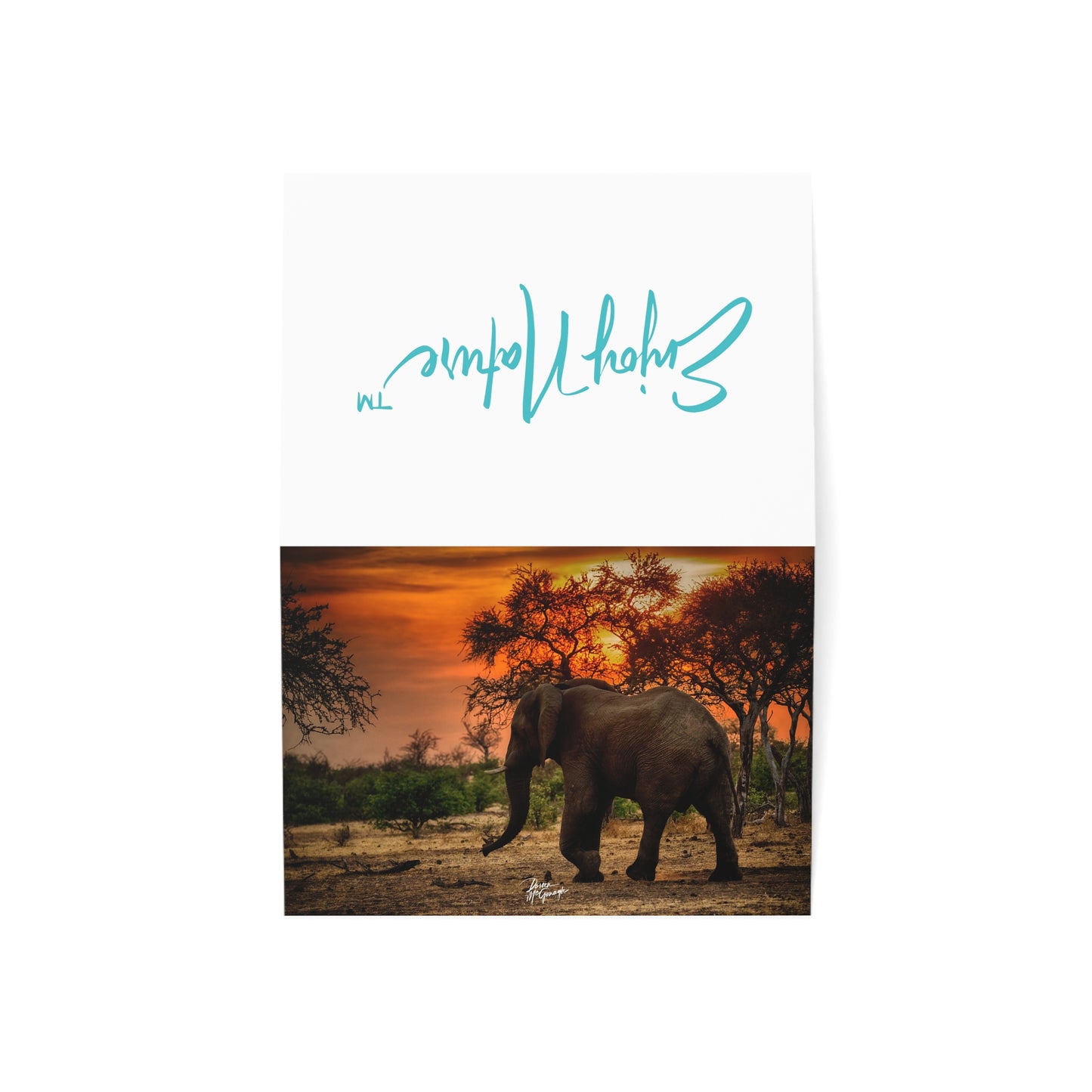 5x7 note cards of Elephant Sunset (10 pcs)