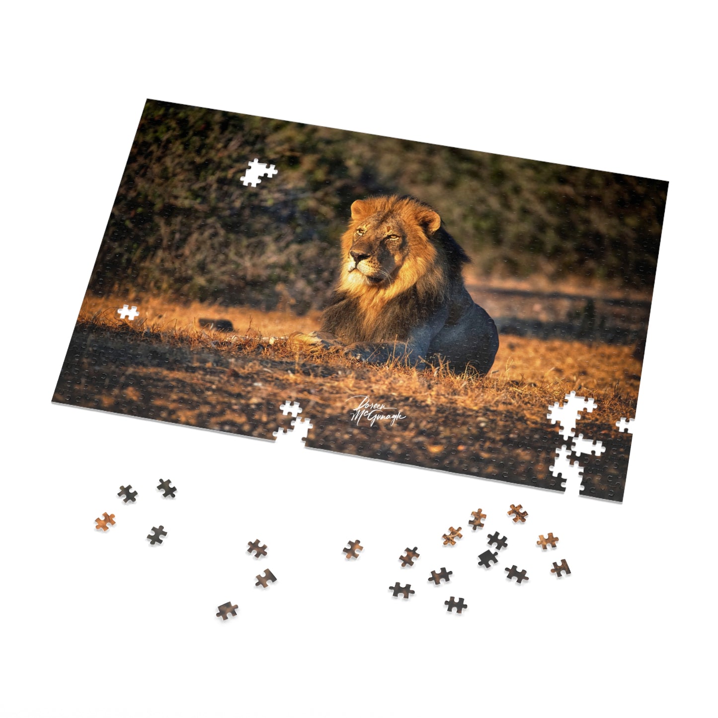 Lion King of Jungle Jigsaw Puzzle by Enjoy Nature