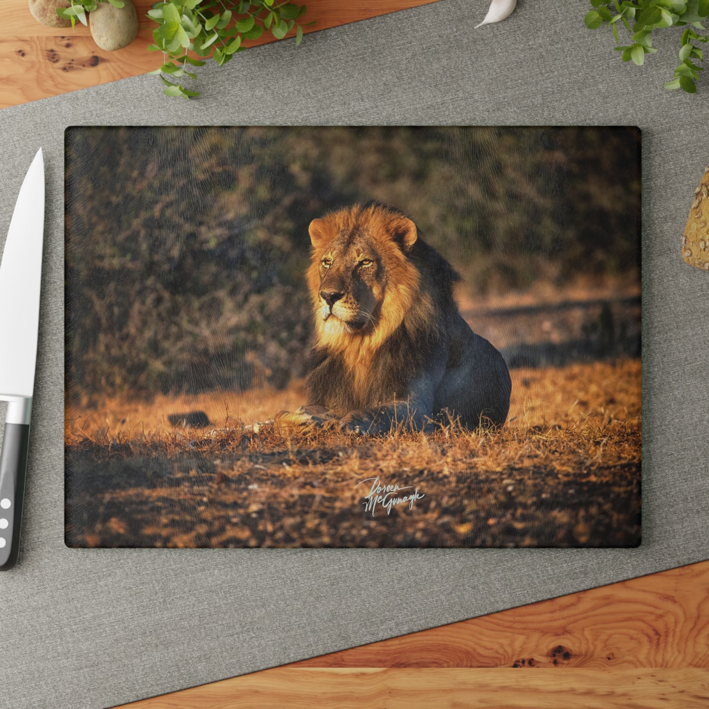 Enjoy Nature Glass Charcuterie Cutting Board with Lion King of the Jungle Design