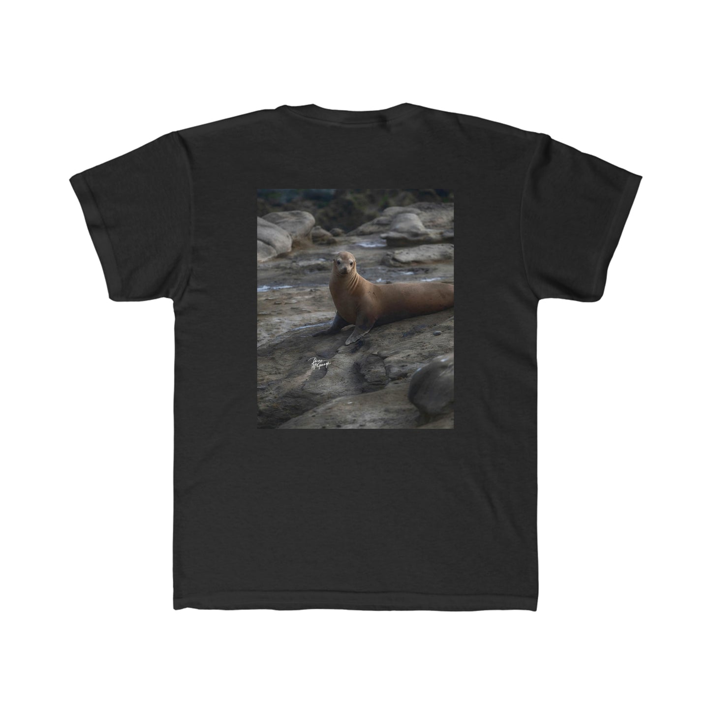 Kids T shirts Solitude Serenade Sea Lions, t shirts for kids, inspired by nature