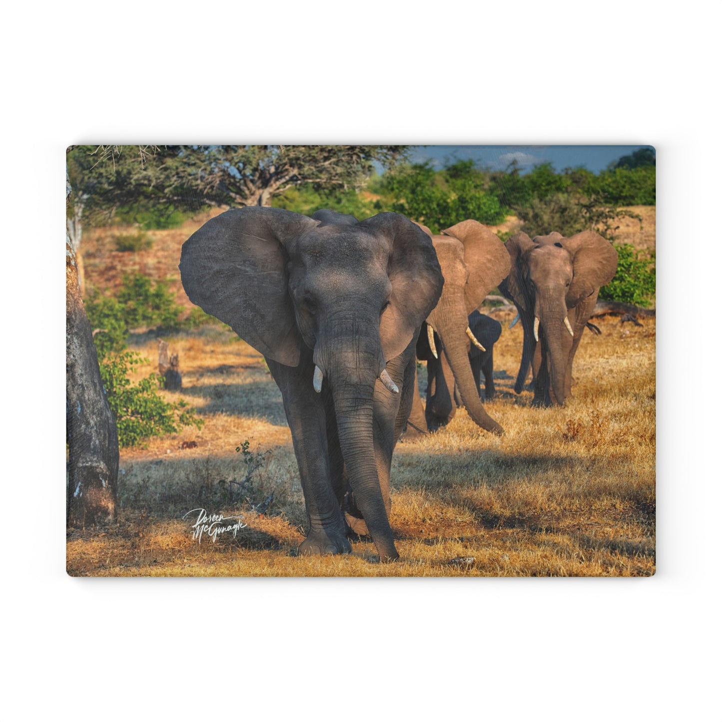 Enjoy Nature Glass Charcuterie Cutting Board with Elephant Family Design