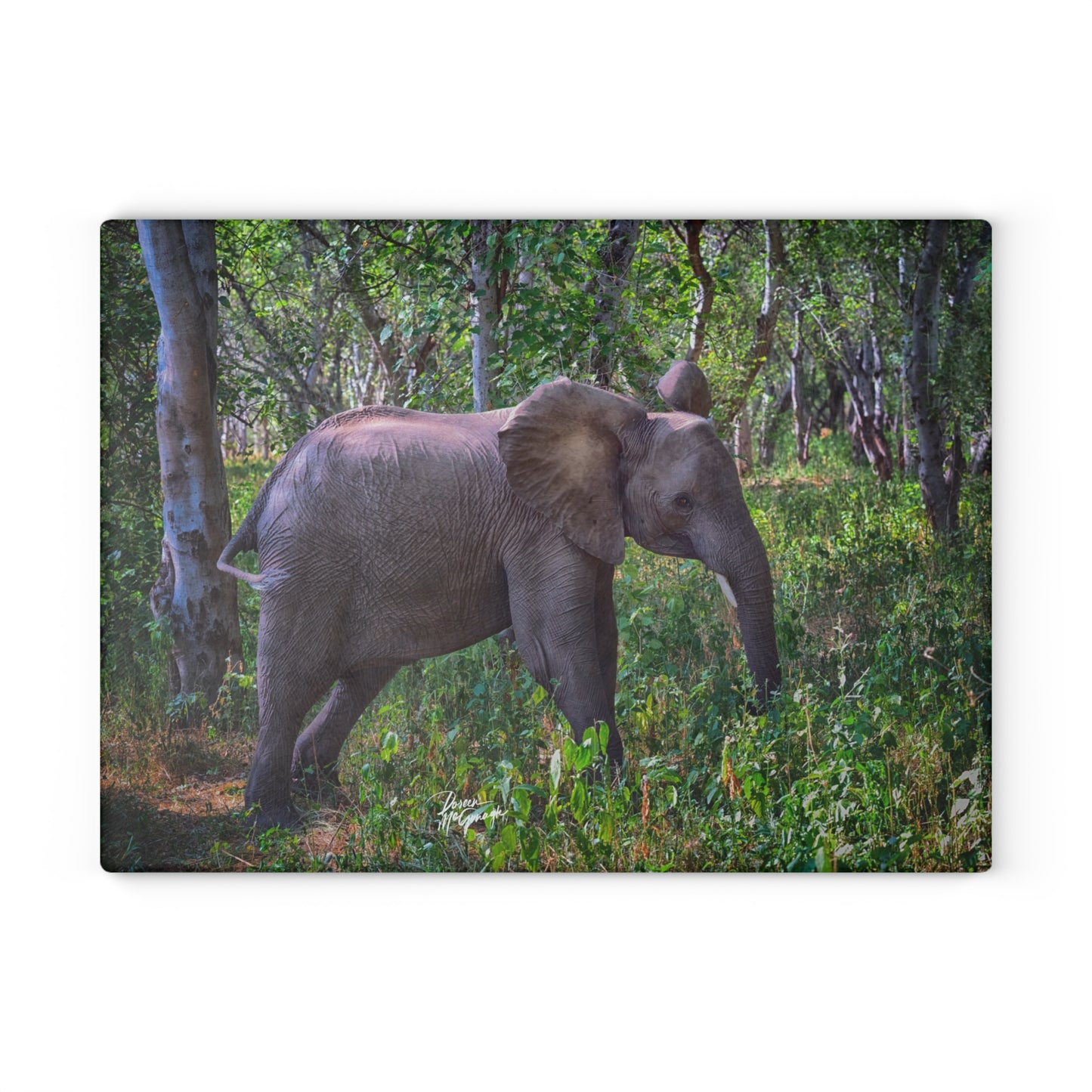 Enjoy Nature Glass Charcuterie Cutting Board with Elephant Baby in Forest Design