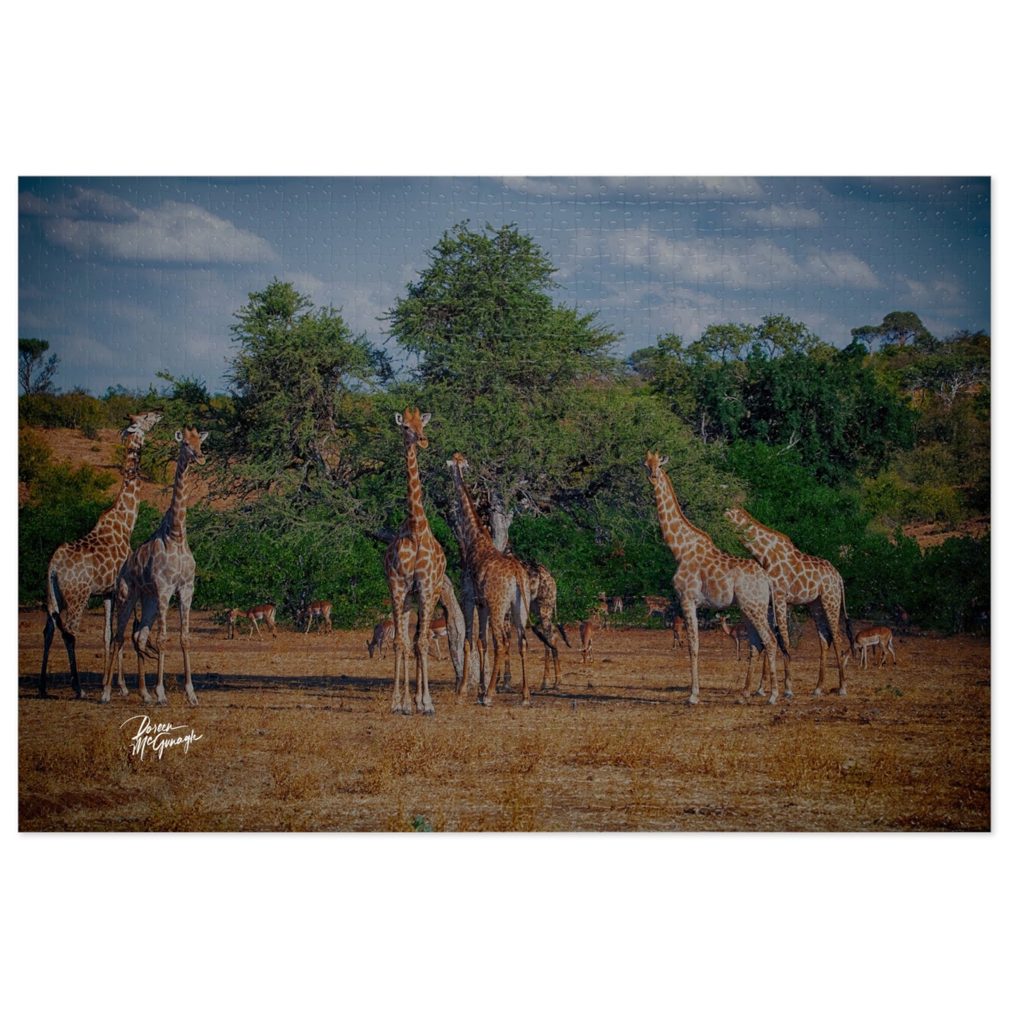 Giraffe Family Jigsaw Puzzle by Enjoy Nature