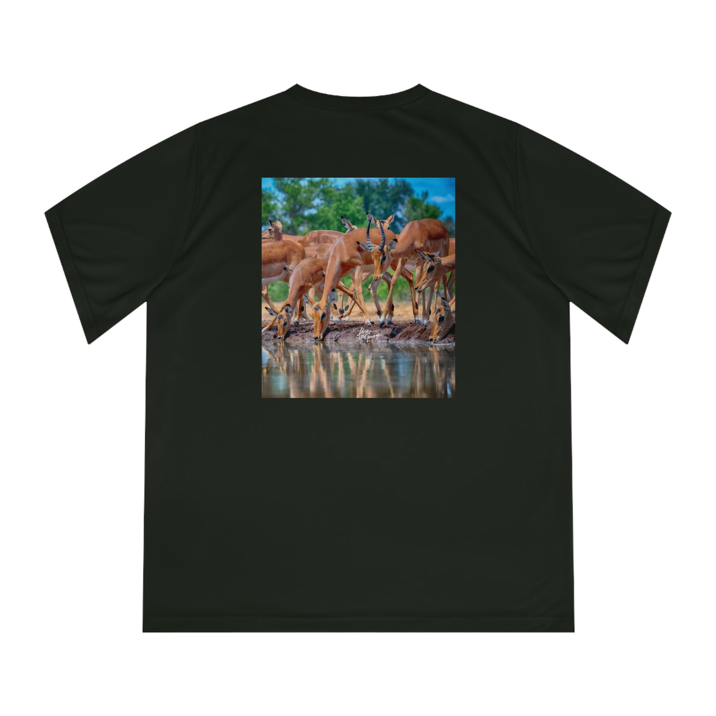 Women's Performance V-Neck T-Shirt - African Antelope by Enjoy Nature