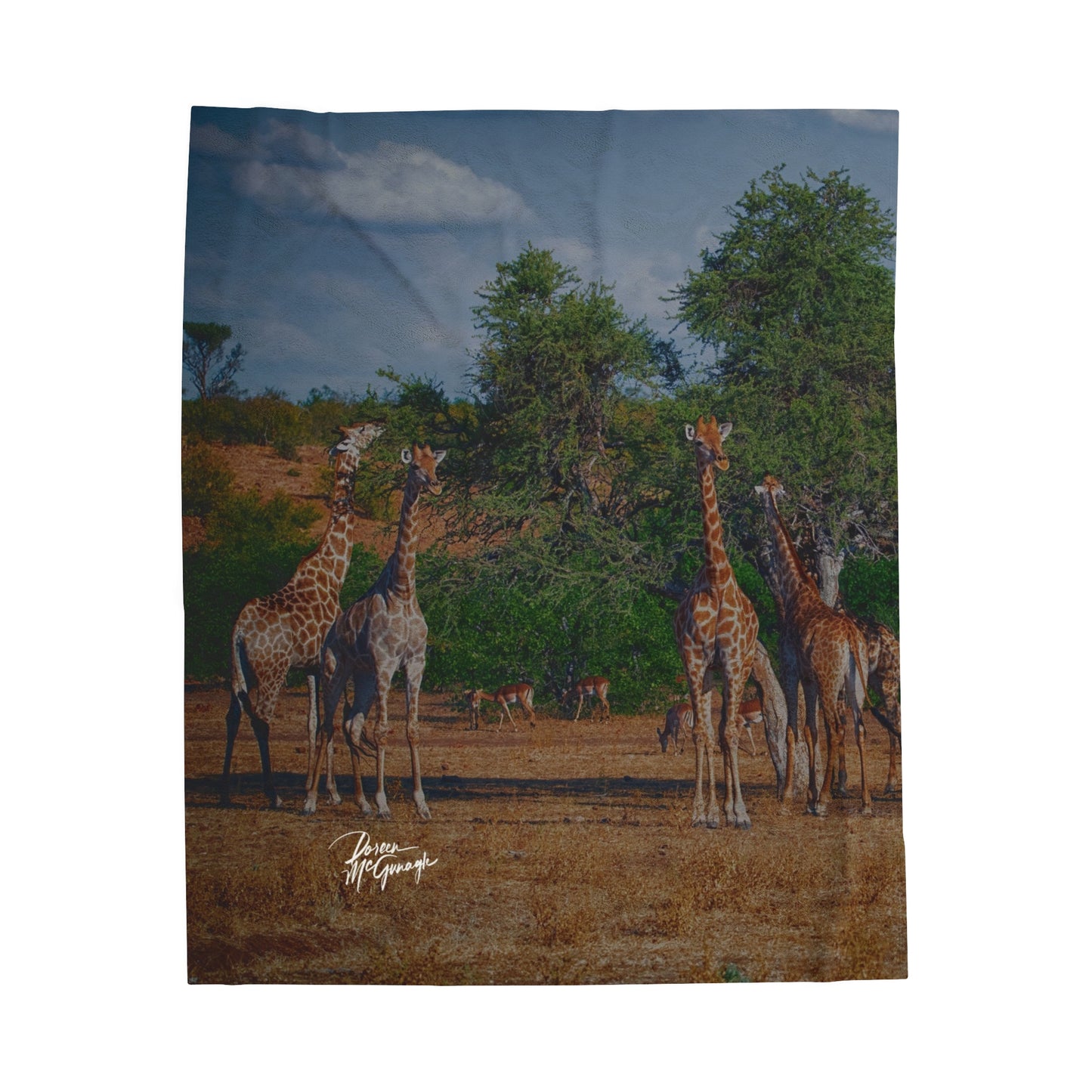 Velveteen Plush Blanket with Giraffe Family by Enjoy Nature