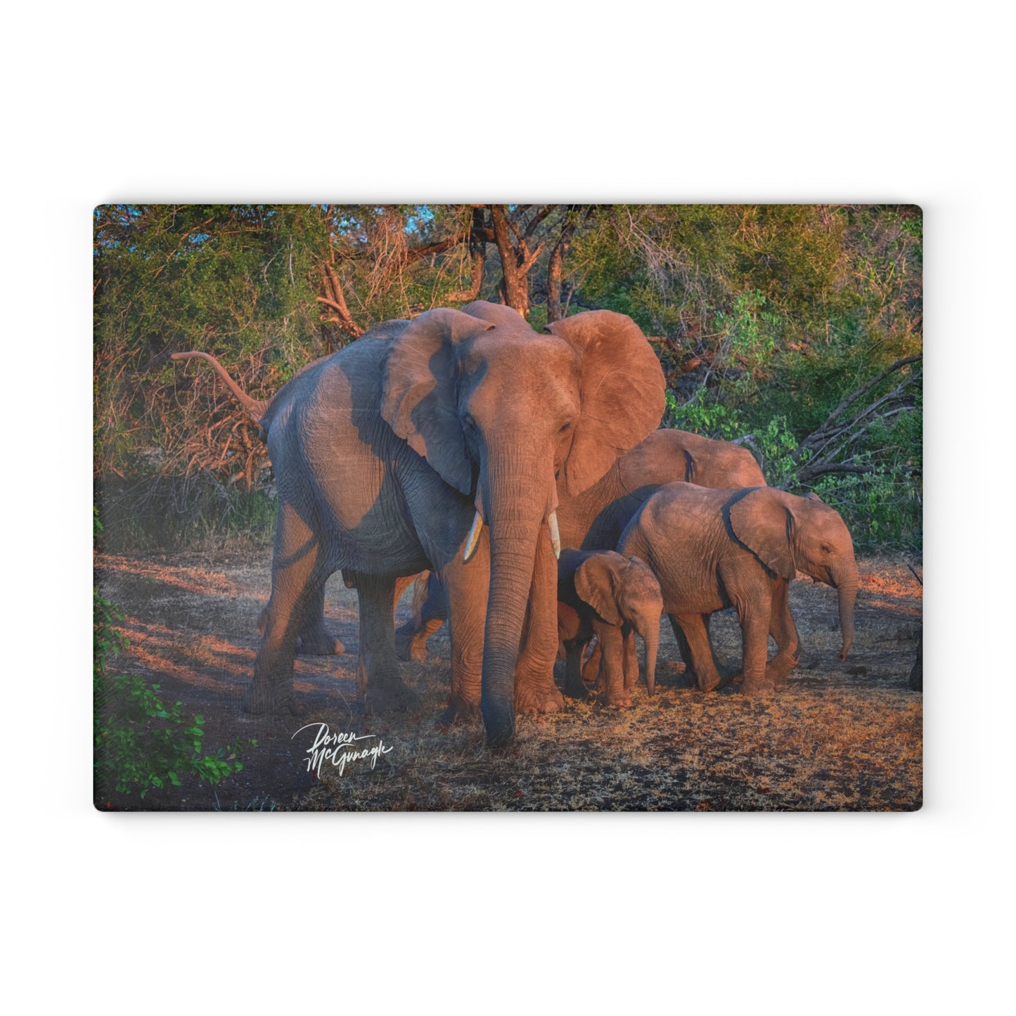 Enjoy Nature Glass Charcuterie Cutting Board with Elephant Family Design