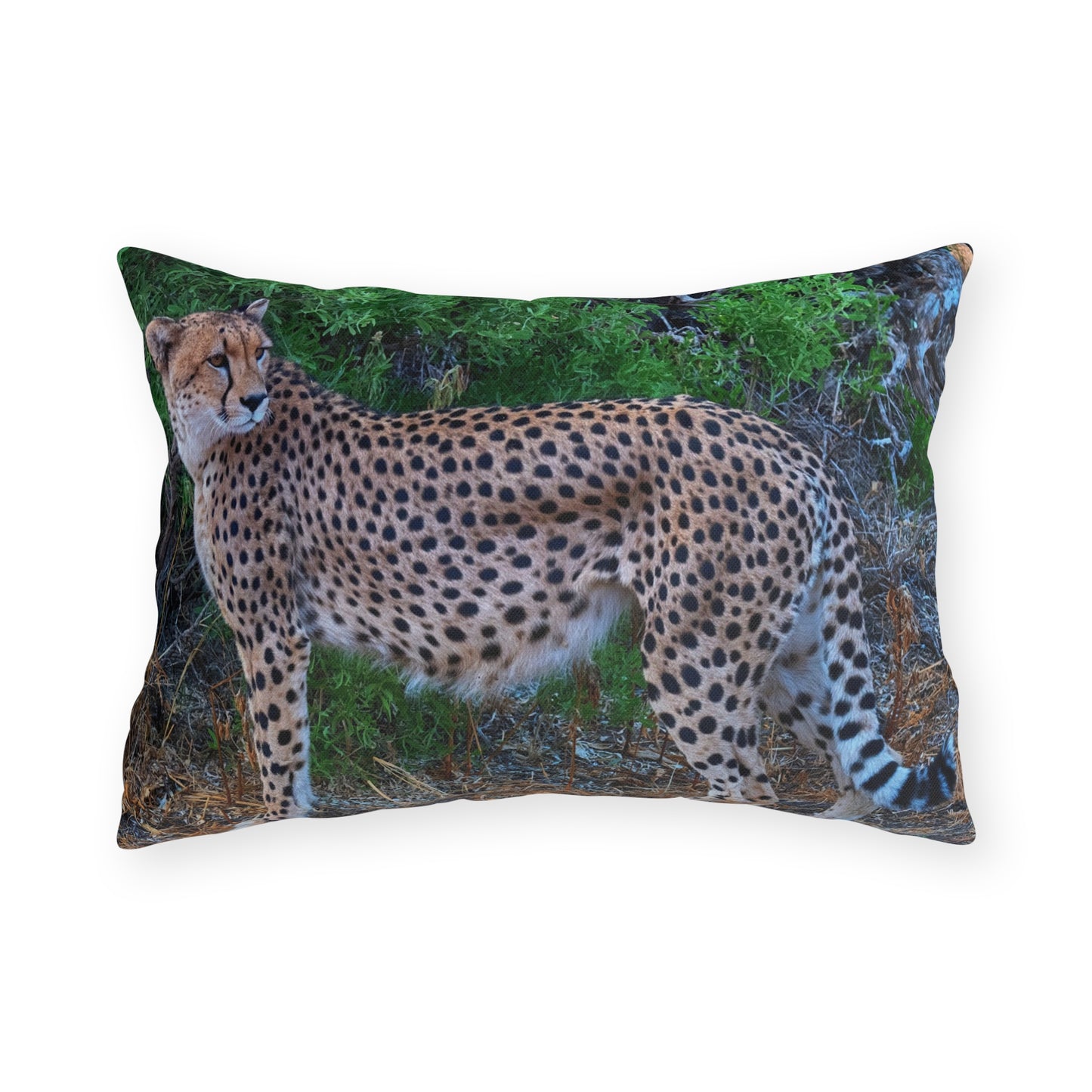 Enjoy Nature Outdoor Pillow with Cheetah Stand – Artistic, Comfy, and Durable Decorative Accent