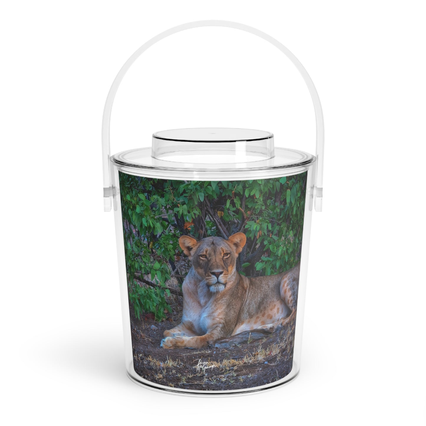 Enjoy Nature Dreaming About a Lioness Insulated Ice Bucket