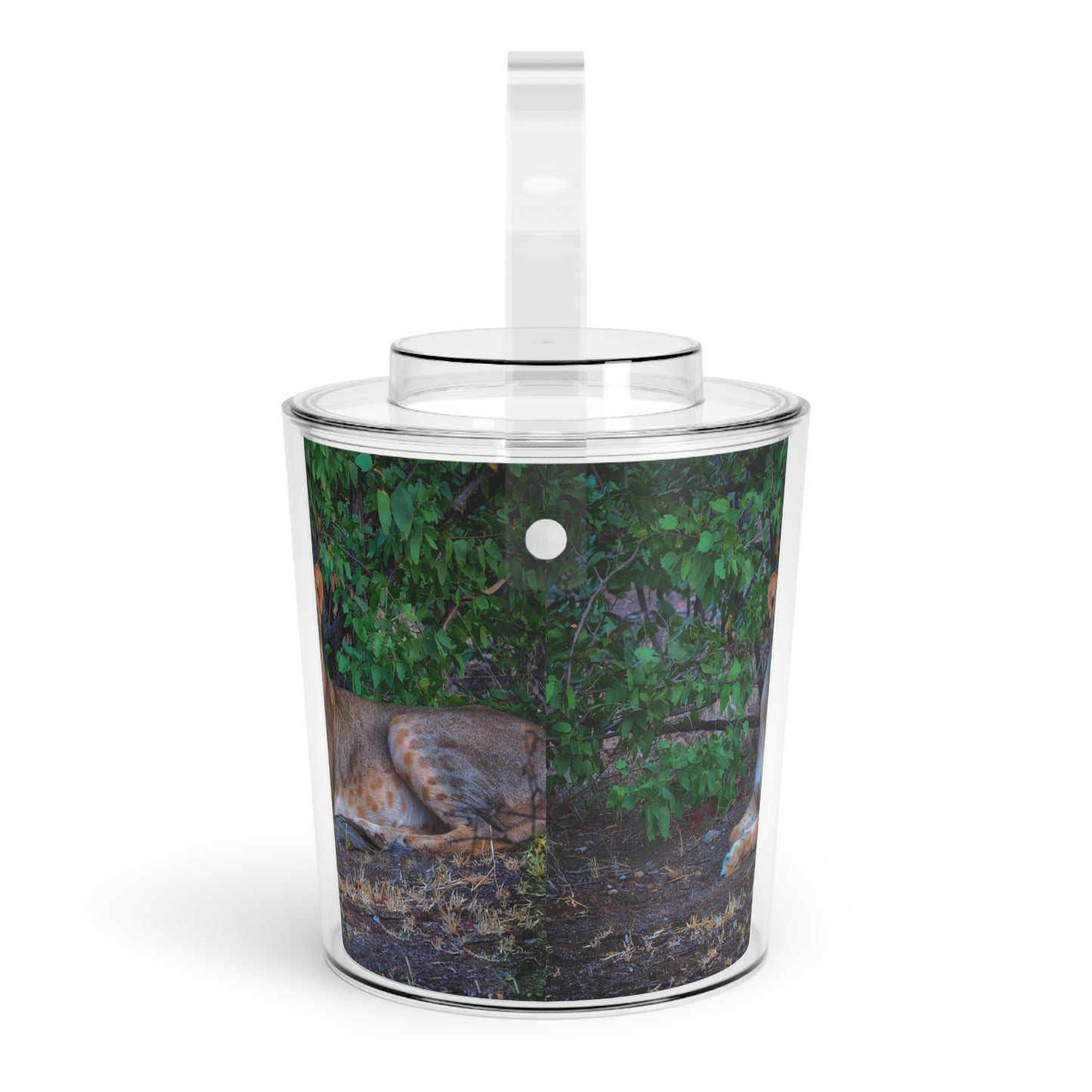 Enjoy Nature Dreaming About a Lioness Insulated Ice Bucket