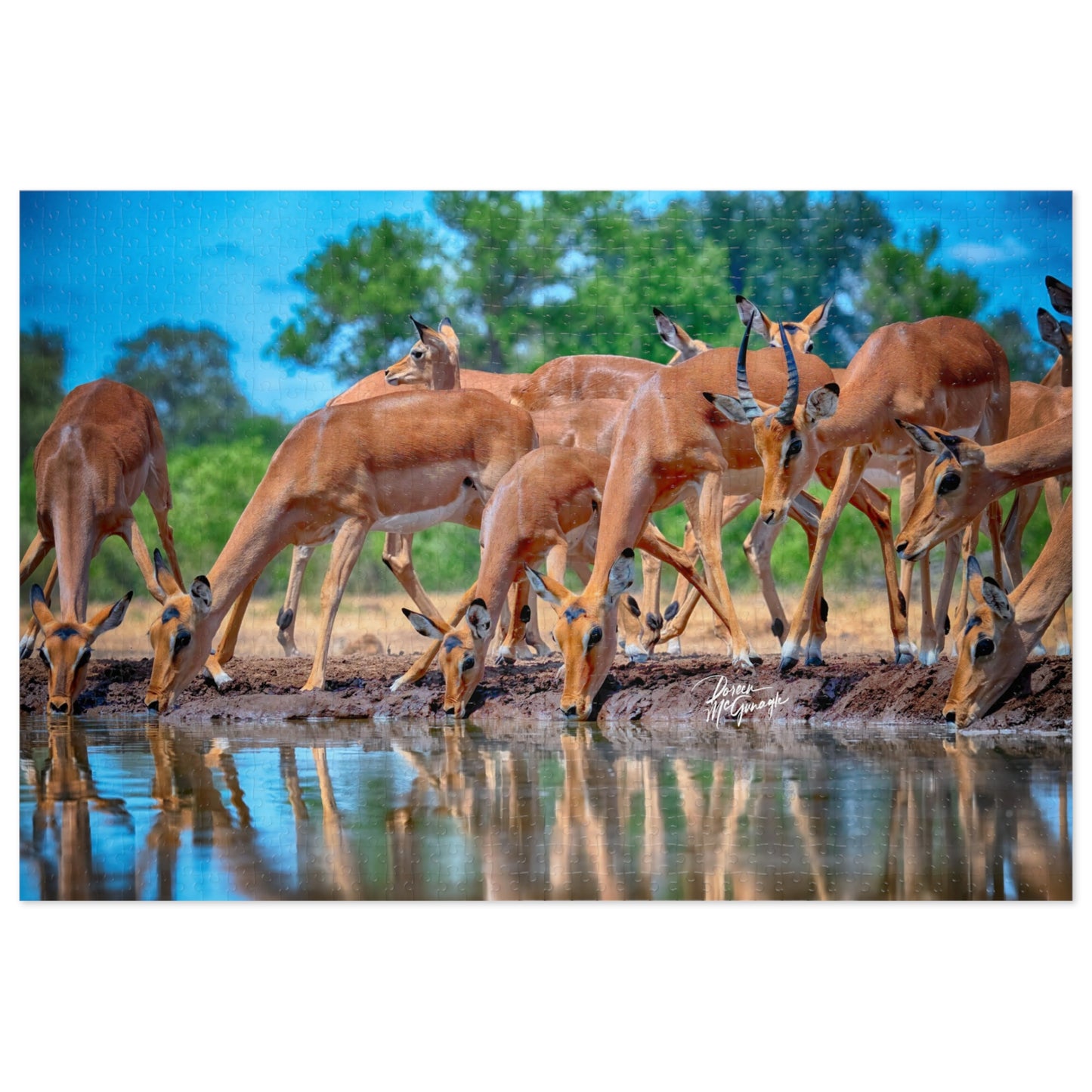 African Antelope at Watering Hole in Africa Jigsaw Puzzle by Enjoy Nature