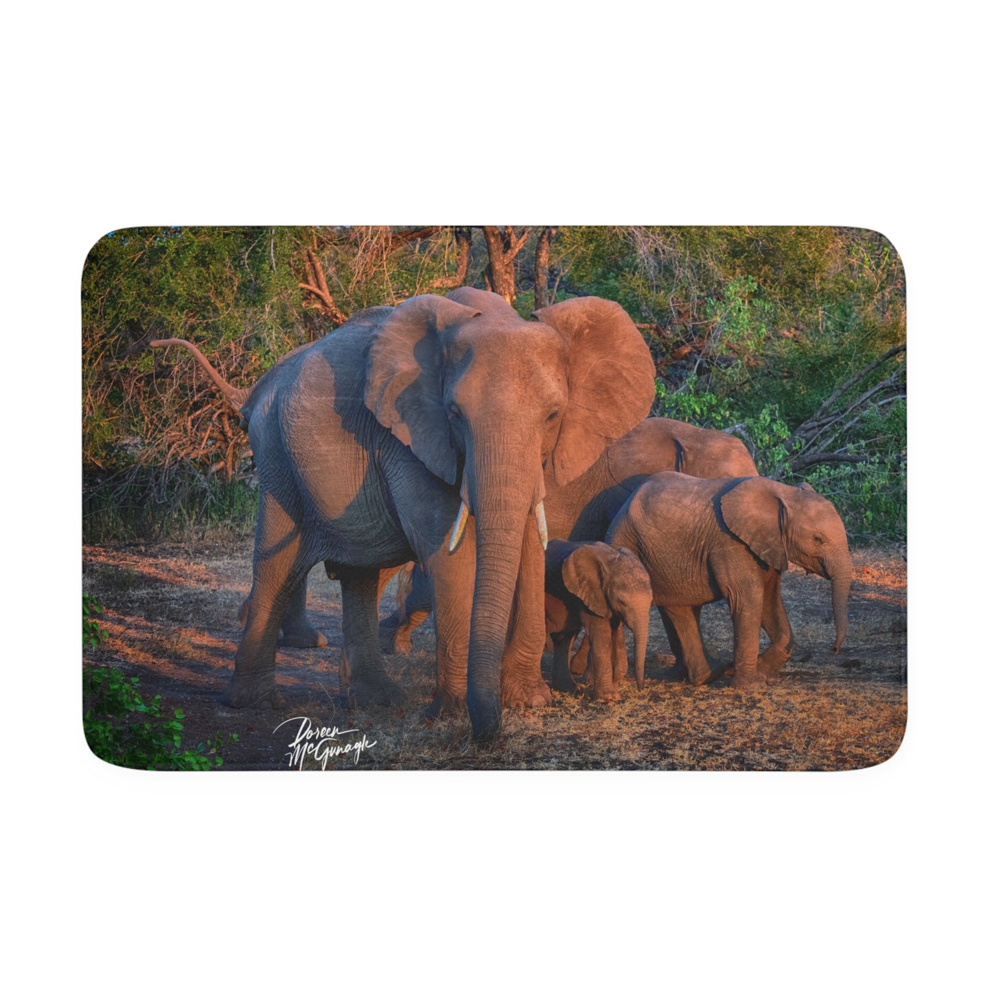 Enjoy Nature Elephant Family Memory Foam Bath Mat