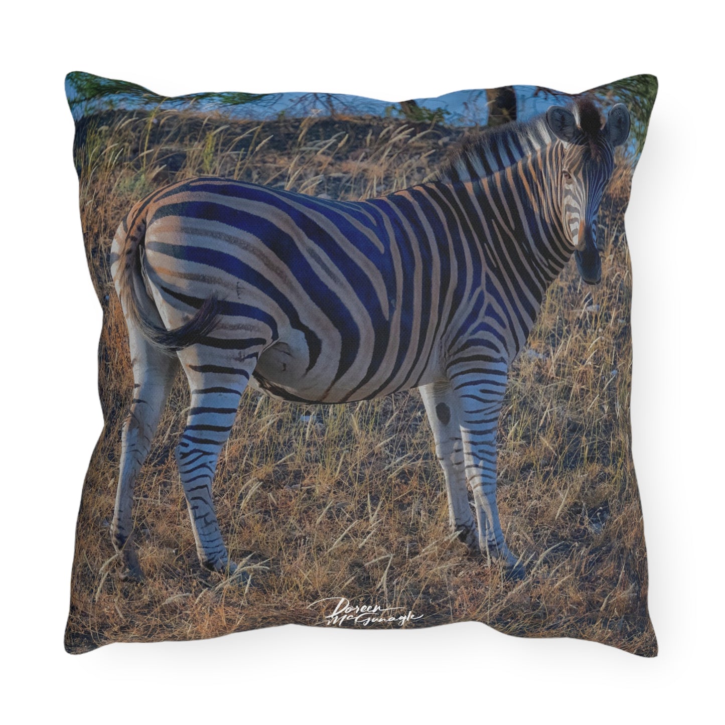 Enjoy Nature Outdoor Pillow with Baby Zebra – Artistic, Comfy, and Durable Decorative Accent