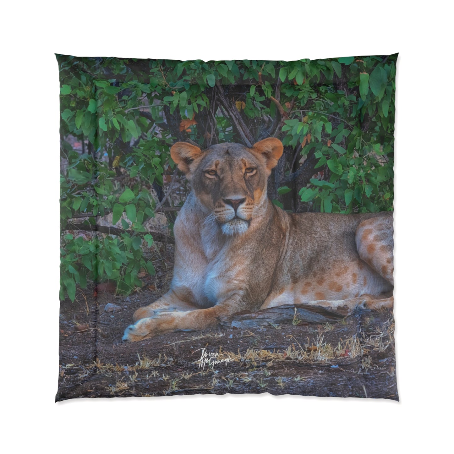 Dreaming About a Lioness Comforter by Enjoy Nature