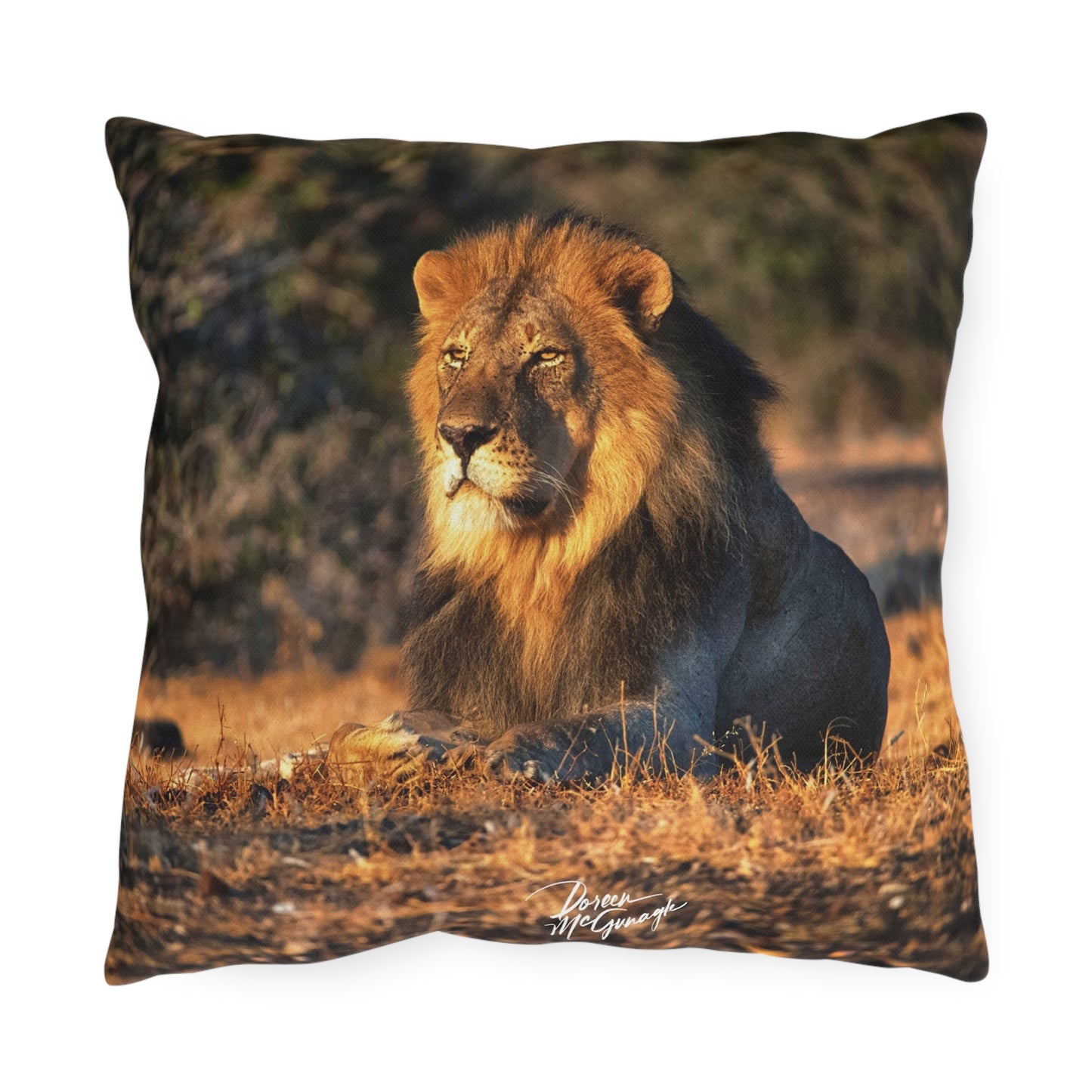 Enjoy Nature Outdoor Pillow with Lion King of Jungle – Artistic, Comfy, and Durable Decorative Accent