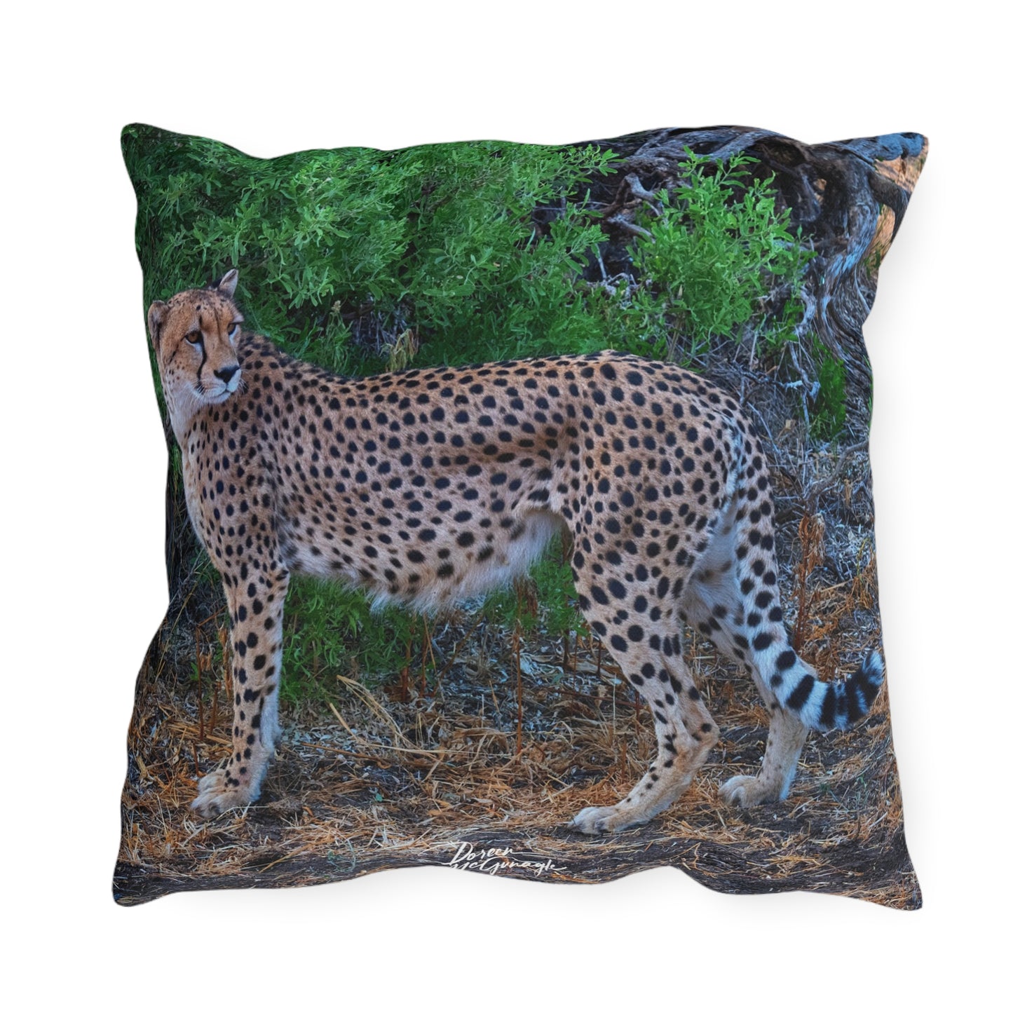 Enjoy Nature Outdoor Pillow with Cheetah Stand – Artistic, Comfy, and Durable Decorative Accent