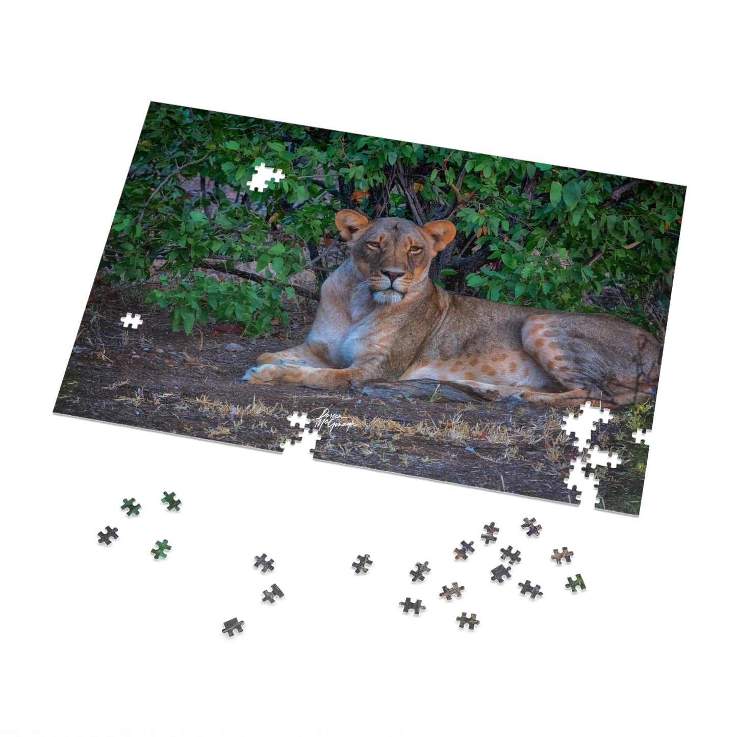 Dreaming About a Lioness Jigsaw Puzzle by Enjoy Nature