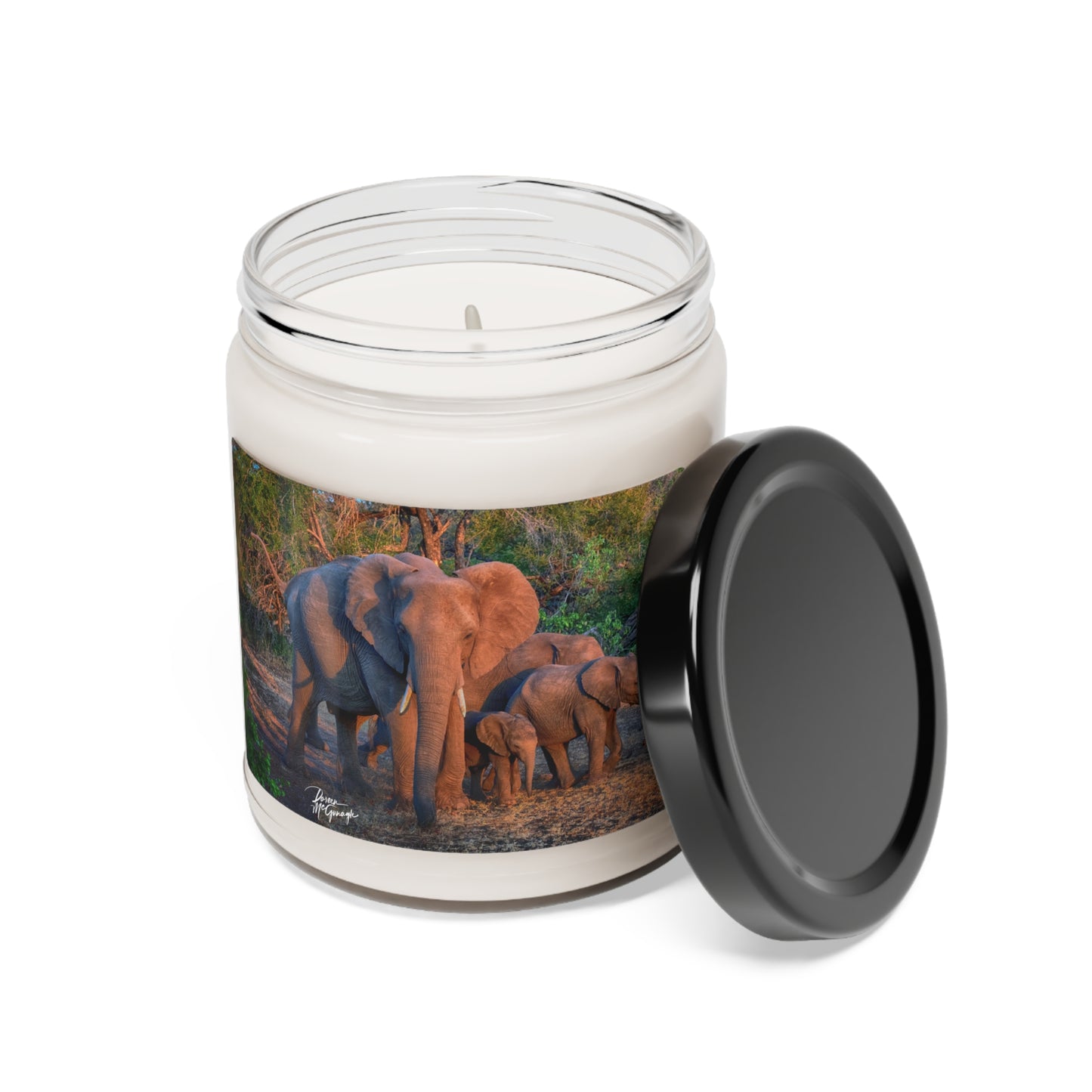 Experience the Pure Essence of Nature with the Herd of Elephant Walking Scented Soy Candle by Enjoy Nature