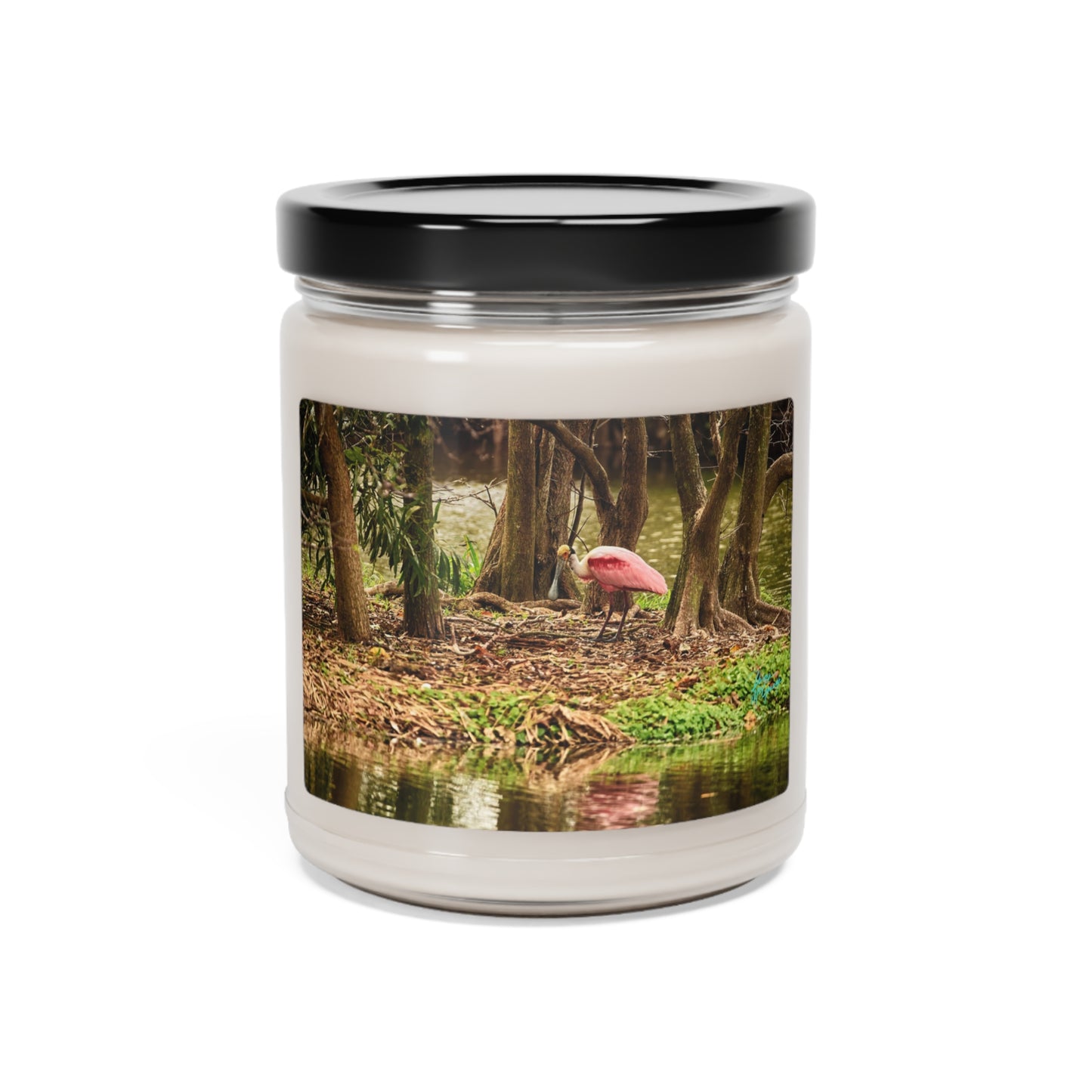 Natural Soy Candle, Rosetta Spoonbill, 9oz, Nature Inspired Decor