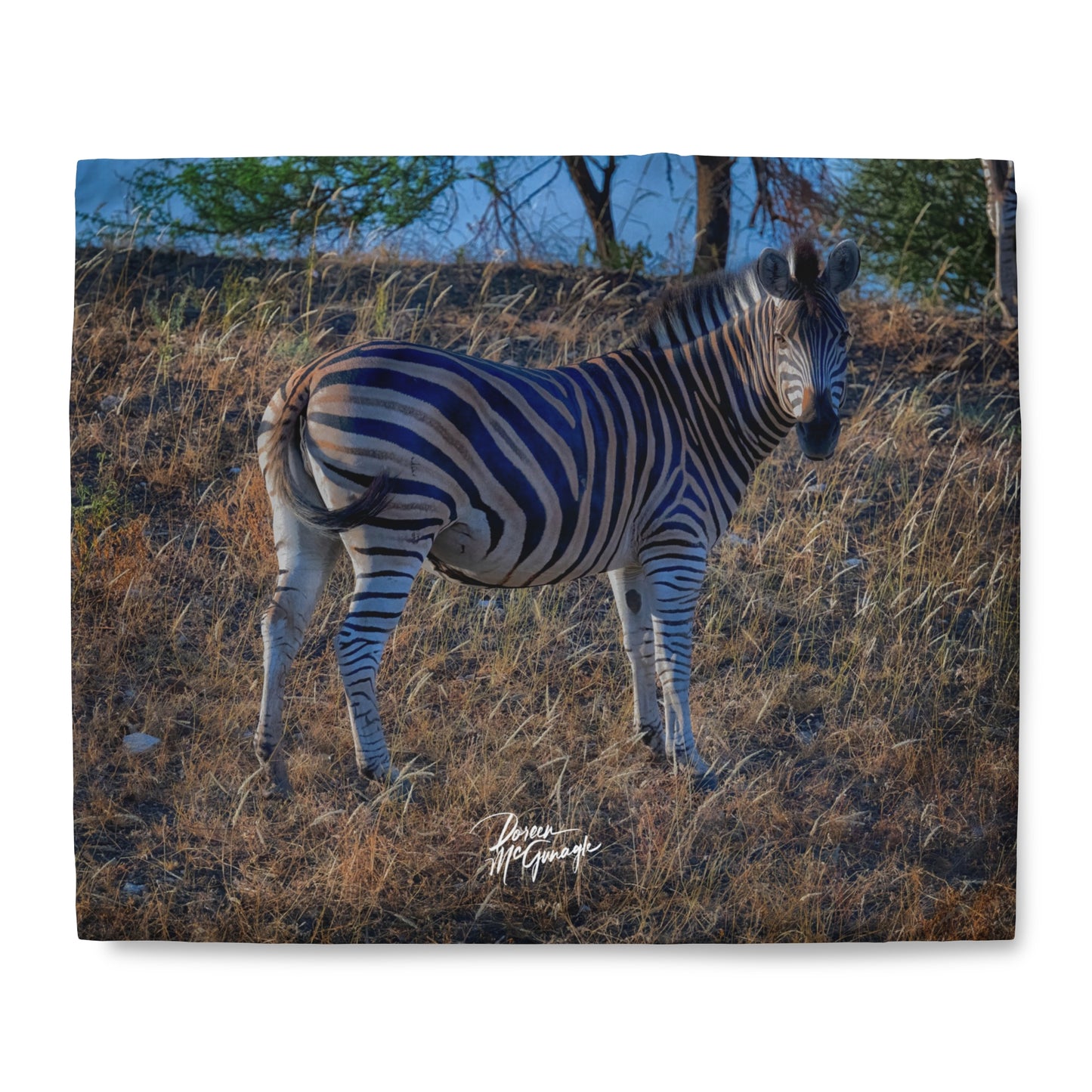 Enjoy Nature Baby Zebra Duvet Cover