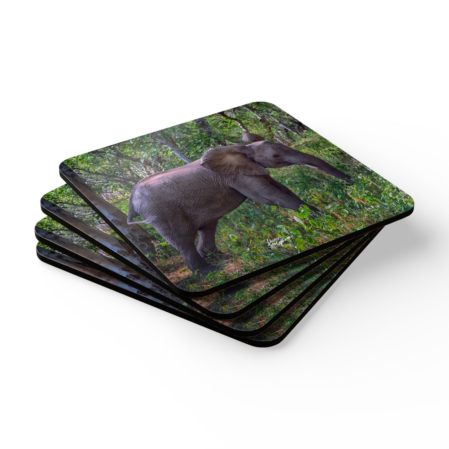 Baby Elephant Amongst the Trees Corkwood Coaster Set (Box of 4)