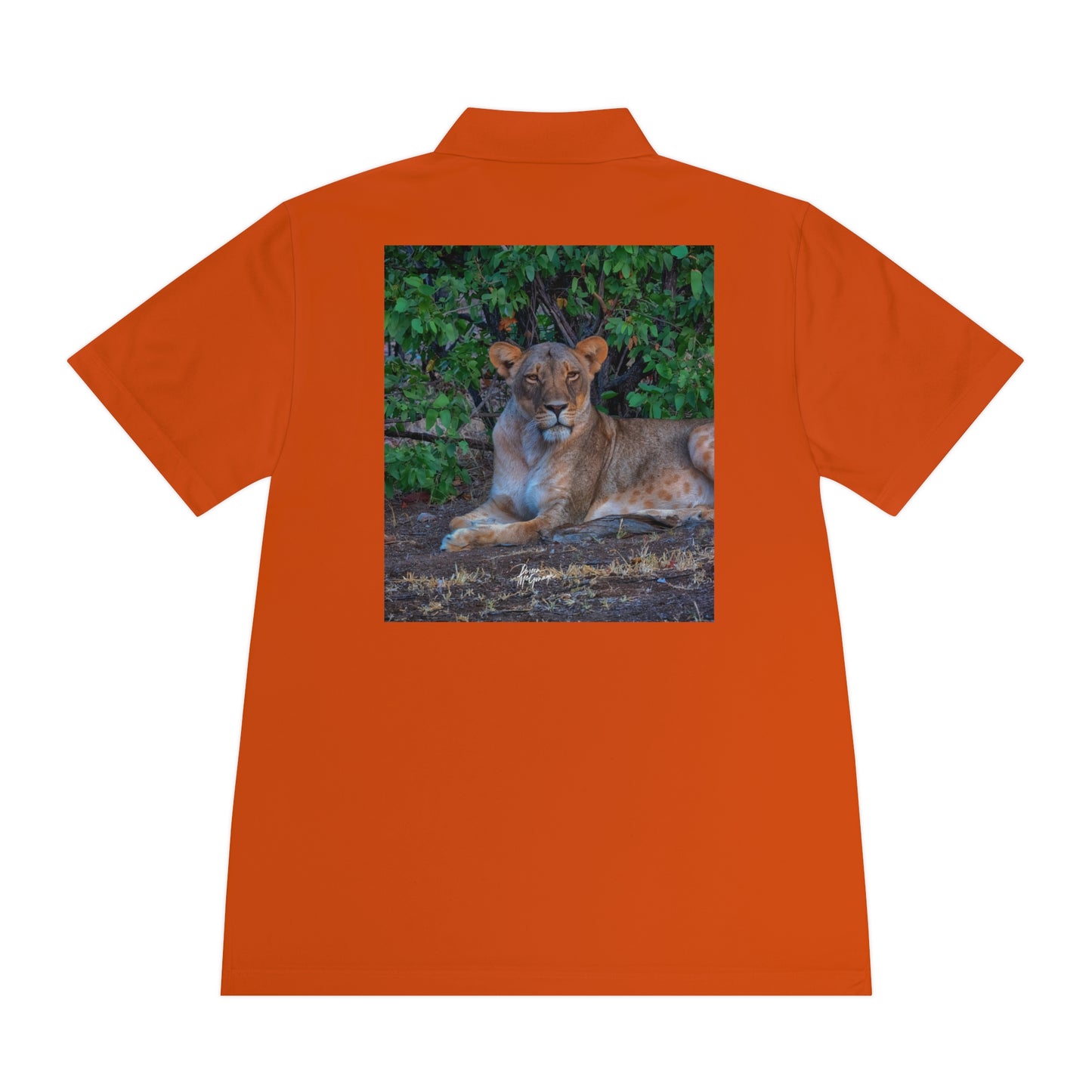 Men's Performance Polo Shirt - Dreaming of a Lioness by Enjoy Nature