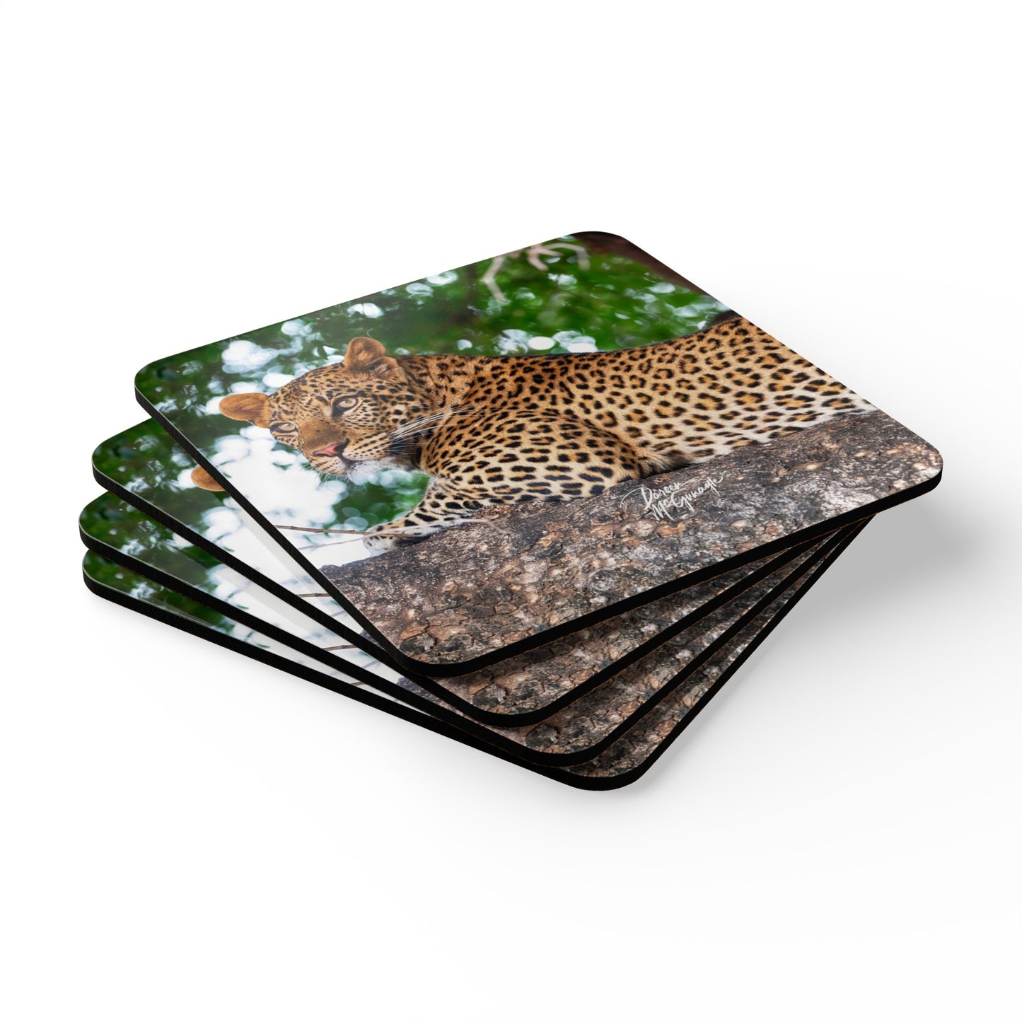 Leopard in Tree Corkwood Coaster Set (Box of 4)