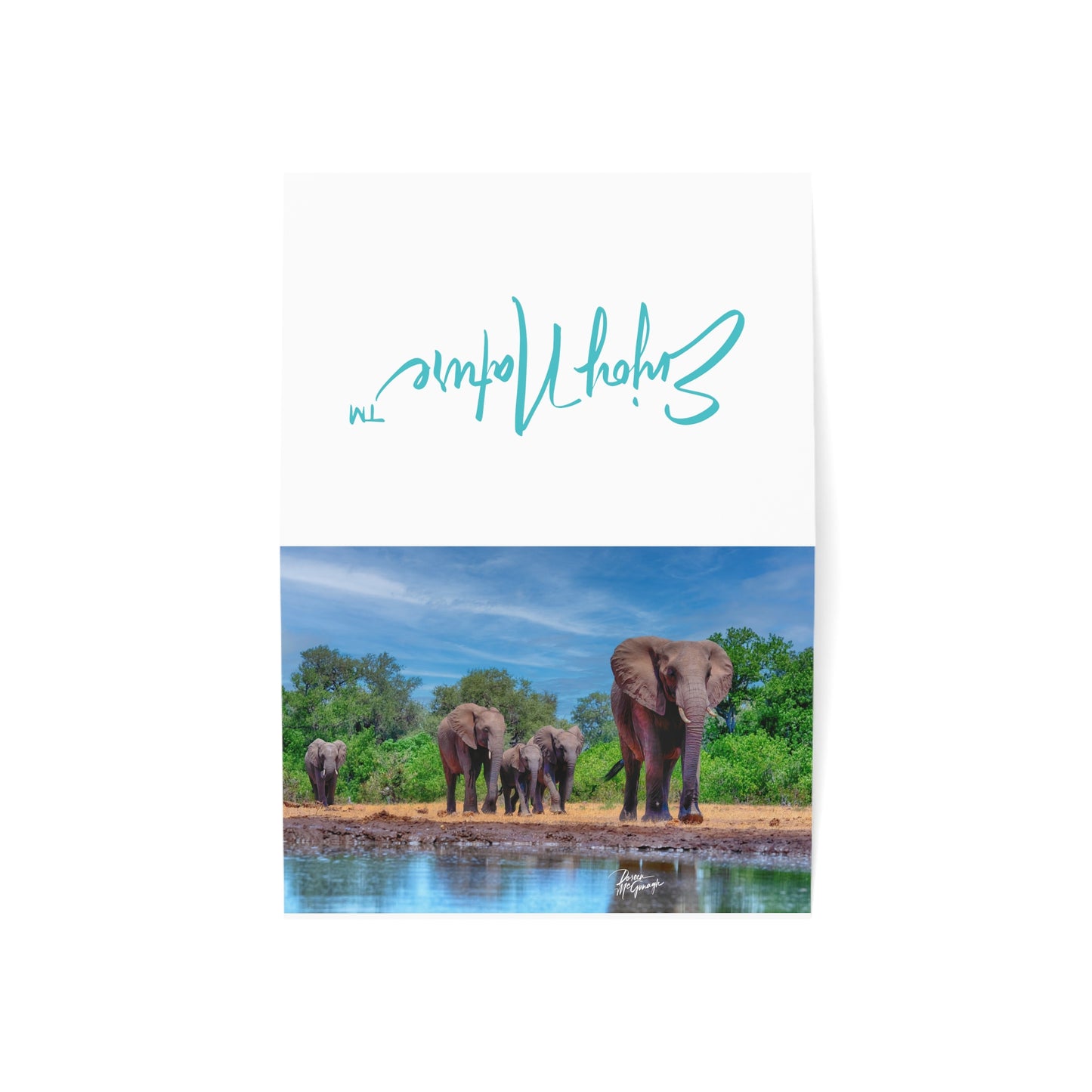 5x7 note cards of Elephant Family at Watering Hole (10cs)