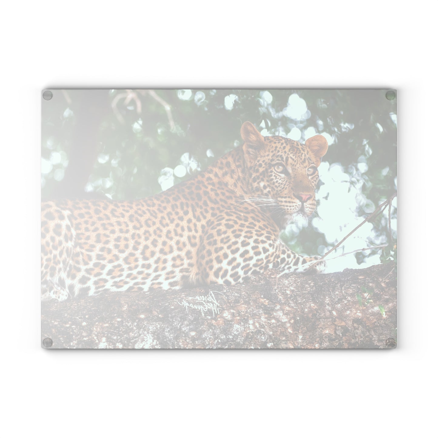 Enjoy Nature Glass Charcuterie Cutting Board with Leopard in Tree Design