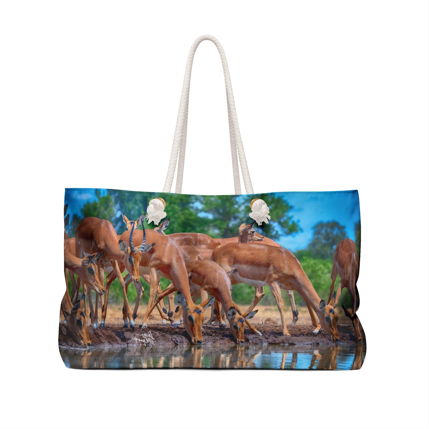 Weekender Tote Bag: African Antelope by Enjoy Nature