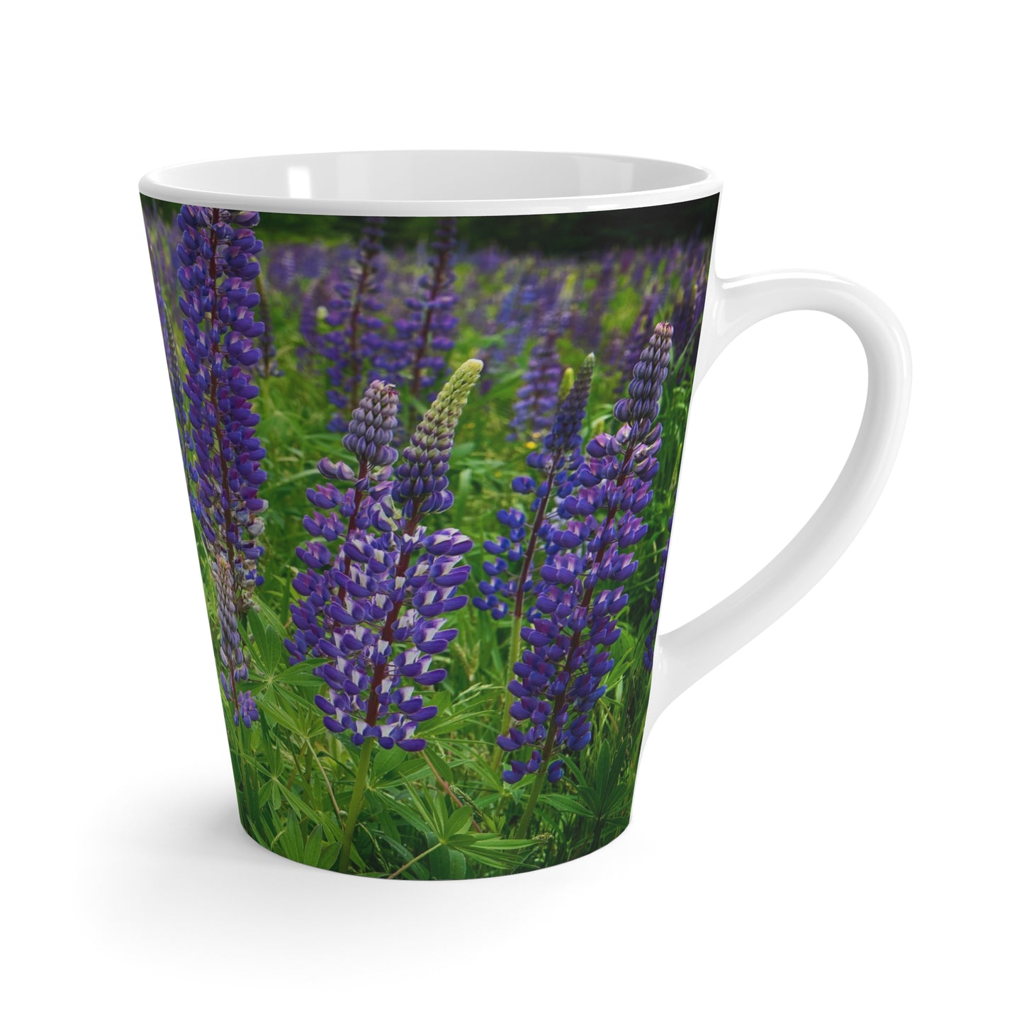 Eco Friendly Field of Wild Lupines,  12 oz Latte Mug