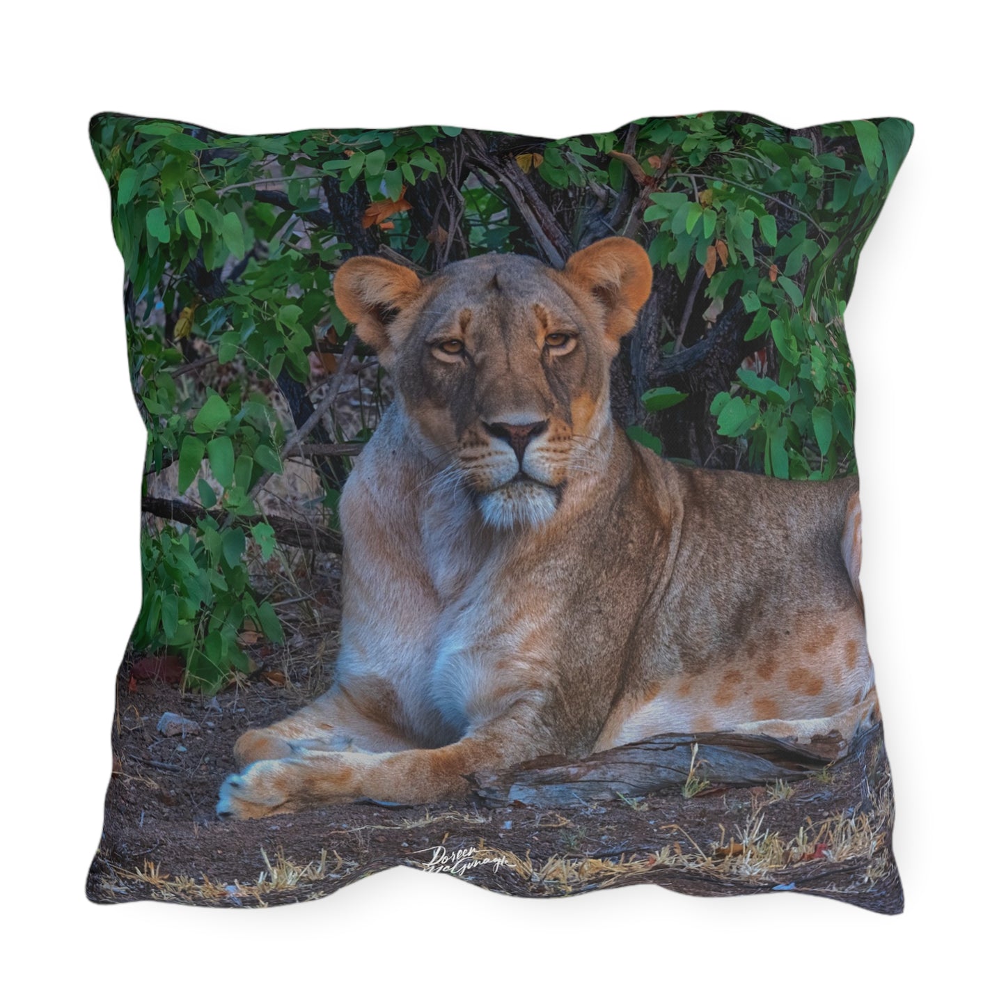 Enjoy Nature Outdoor Pillow with Dreaming About a Lioness – Artistic, Comfy, and Durable Decorative Accent