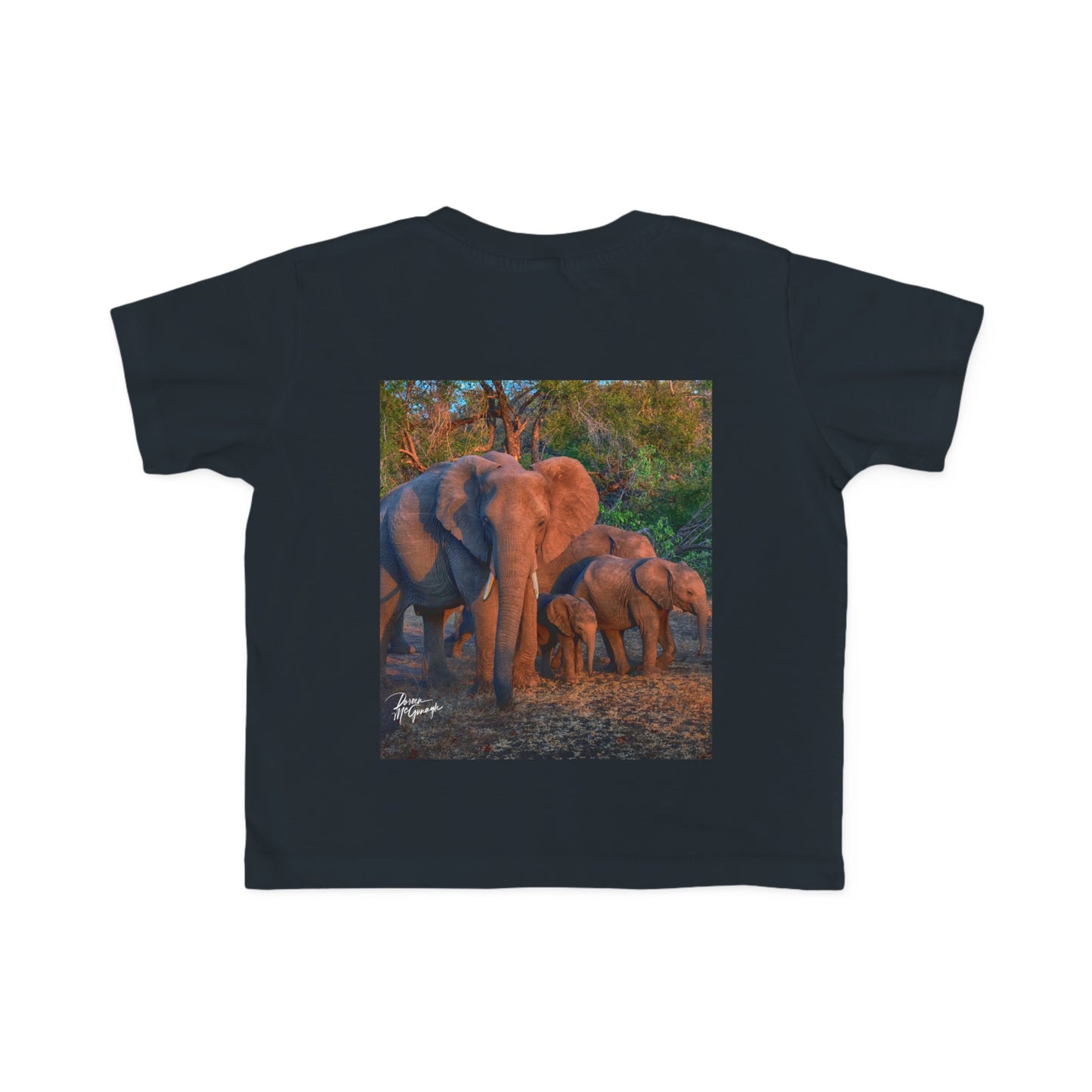 Enjoy Nature Toddler Tee - Elephant Family