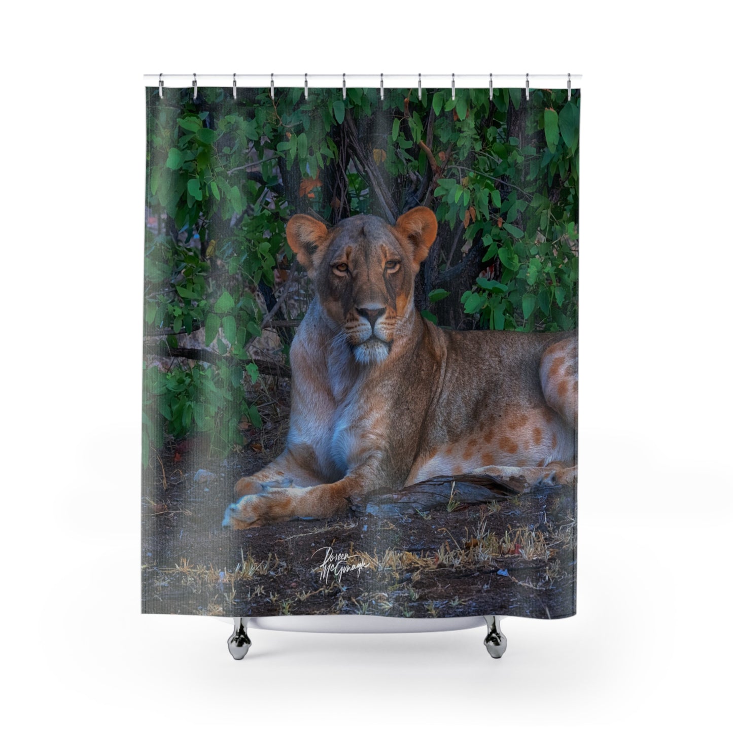 Dreaming About a Lioness Shower Curtain | Majestic & Earthy Wildlife Decor by Enjoy Nature