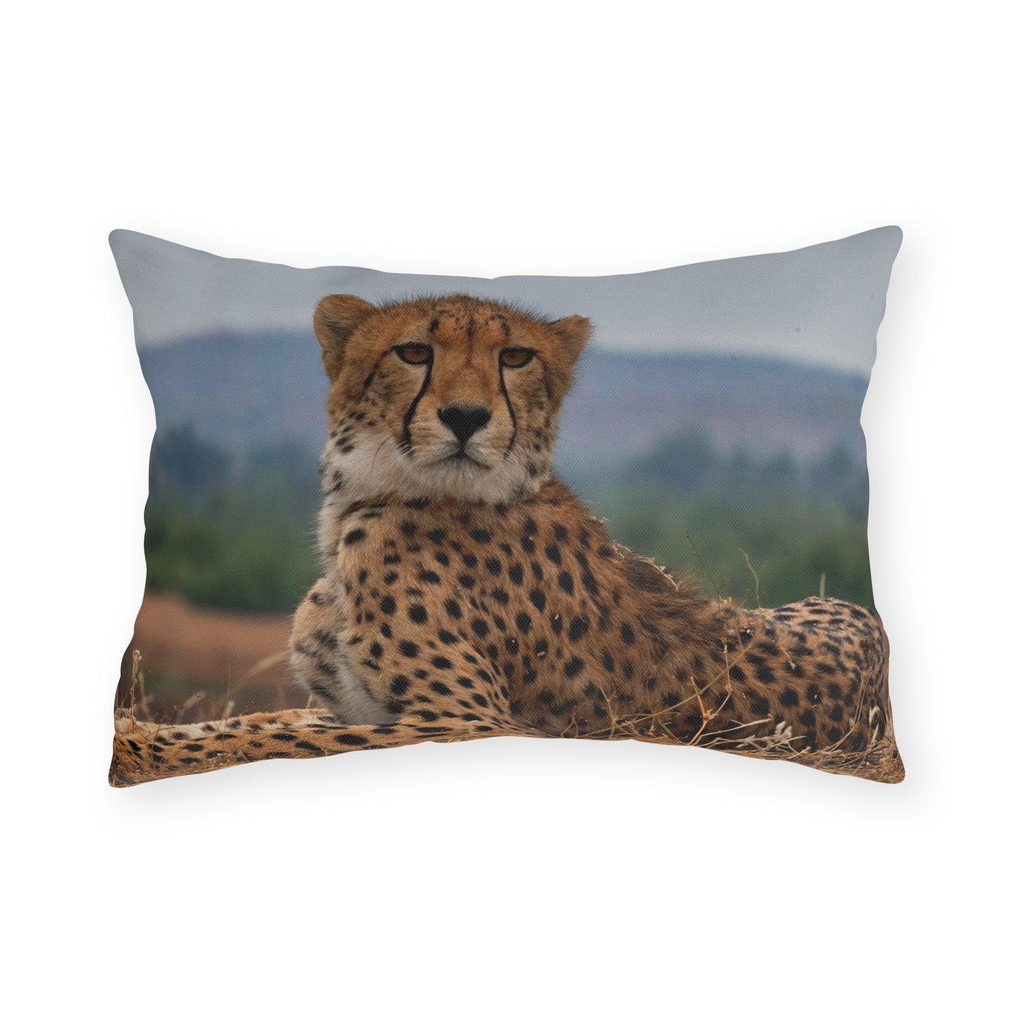 Enjoy Nature Outdoor Pillow with Cheetah Portrait – Artistic, Comfy, and Durable Decorative Accent