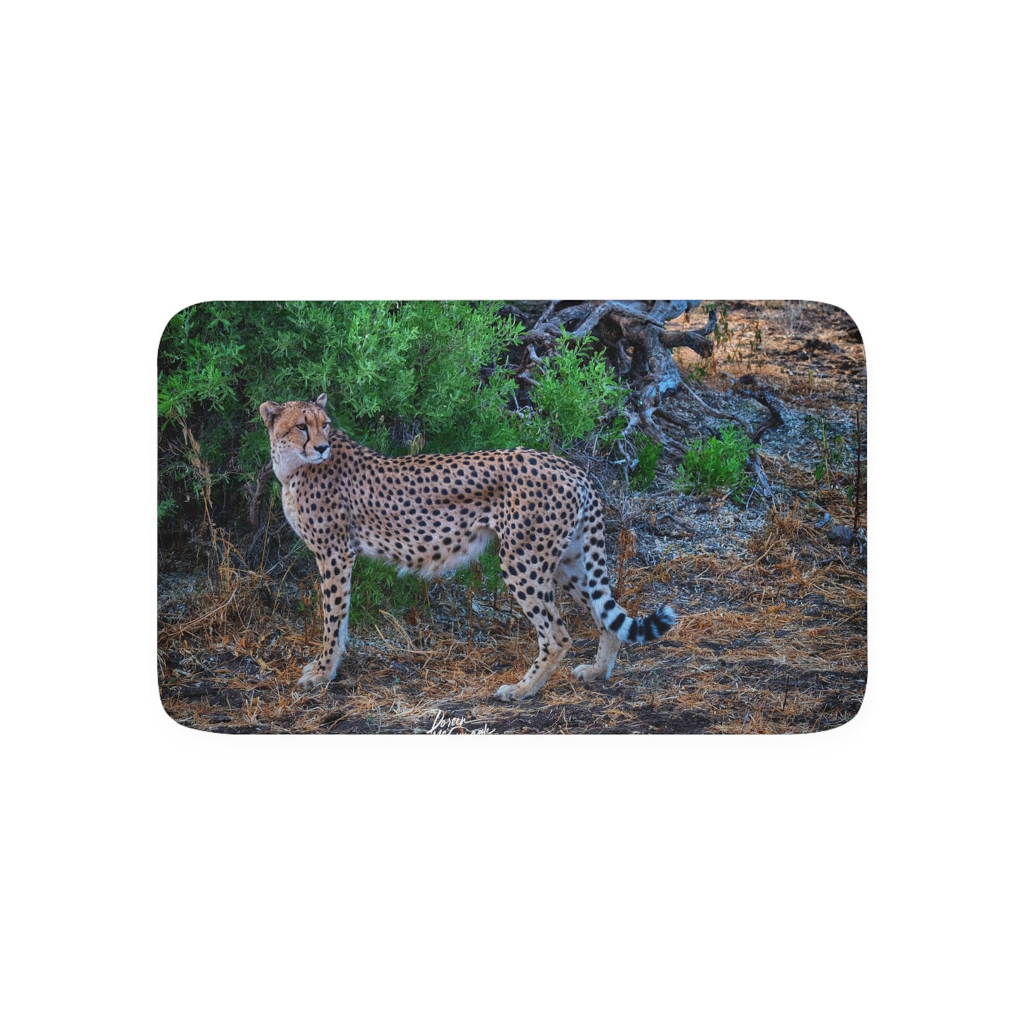 Cheetah Stand Memory Foam Bath Mat from Enjoy Nature