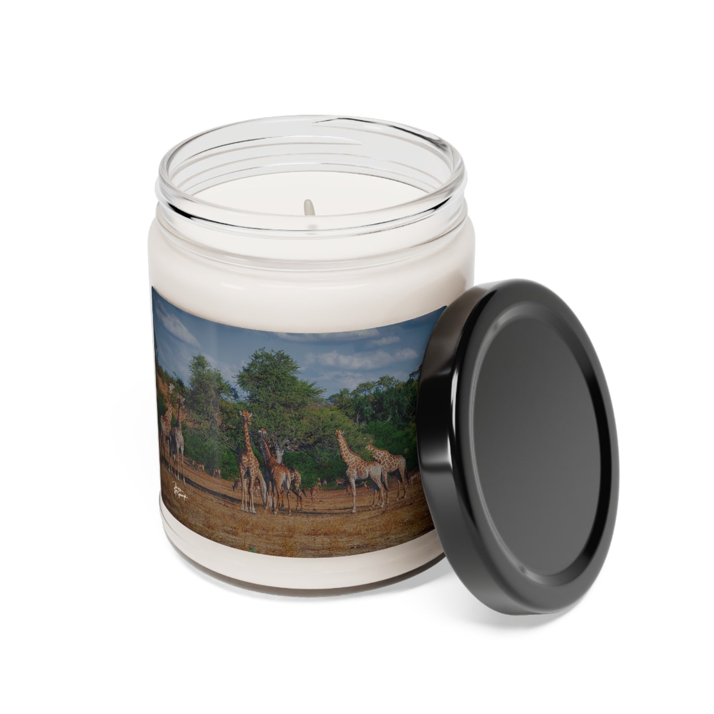 Experience the Pure Essence of Nature with the Elephant Family on Savanna Scented Soy Candle by Enjoy Nature