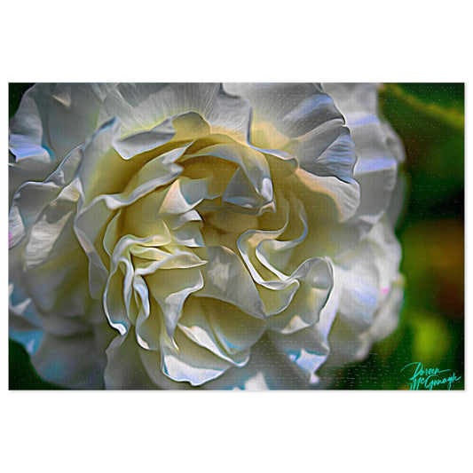 Nature Puzzles, Nova Scotia White Rose Bloom, inspired by nature