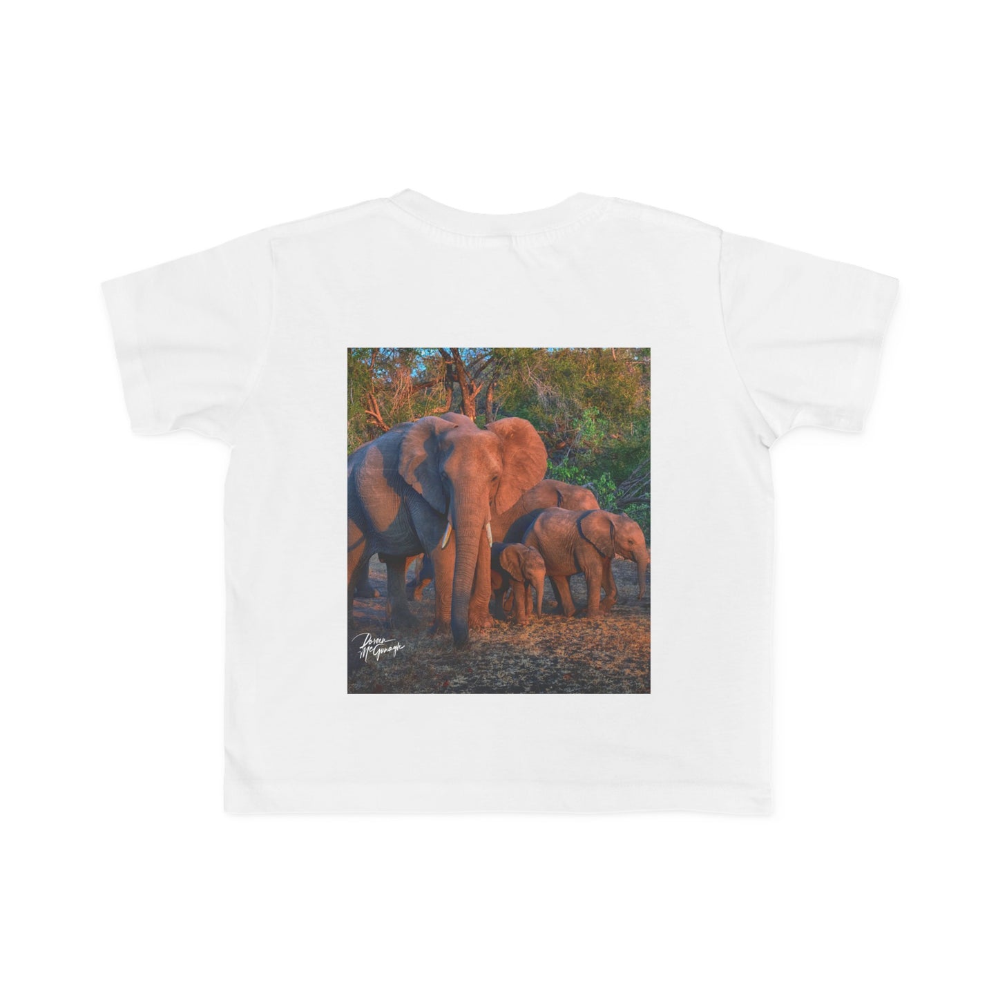 Enjoy Nature Toddler Tee - Elephant Family