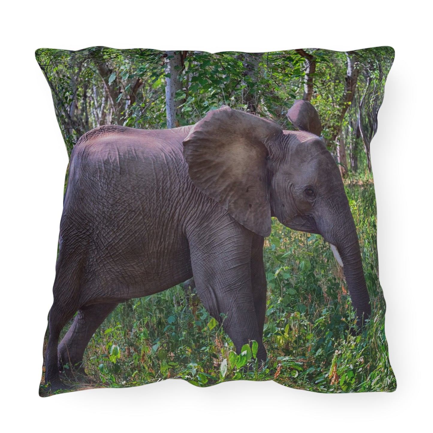 Enjoy Nature Outdoor Pillow with Elephant Baby in Forest – Artistic, Comfy, and Durable Decorative Accent