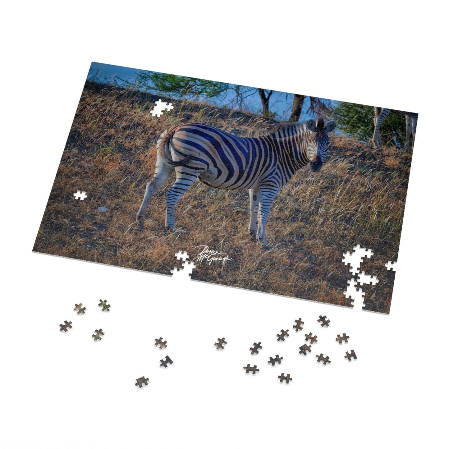 Baby Zebra Jigsaw Puzzle by Enjoy Nature