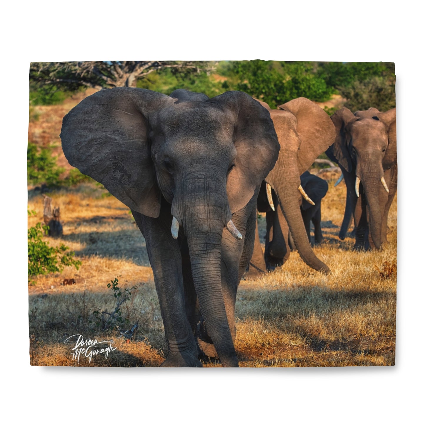 Enjoy Nature Herd of Elephant Walking Duvet Cover