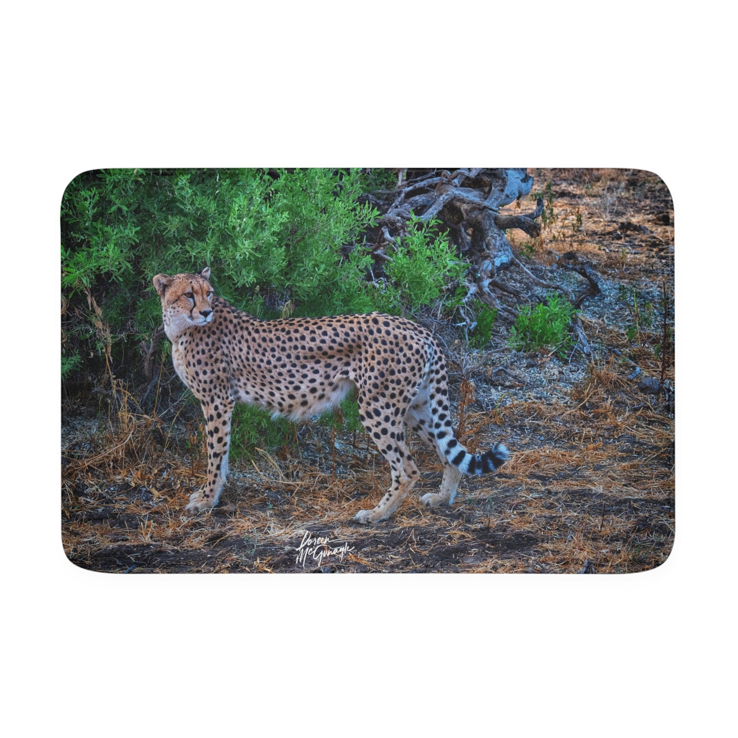 Cheetah Stand Memory Foam Bath Mat from Enjoy Nature