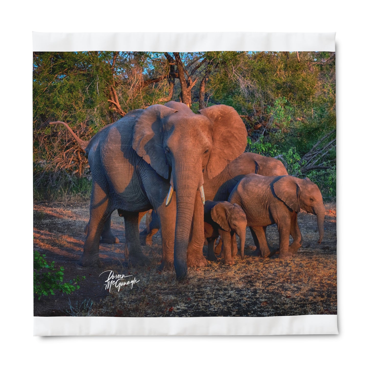 Enjoy Nature Spirited Elephant Family Duvet Cover