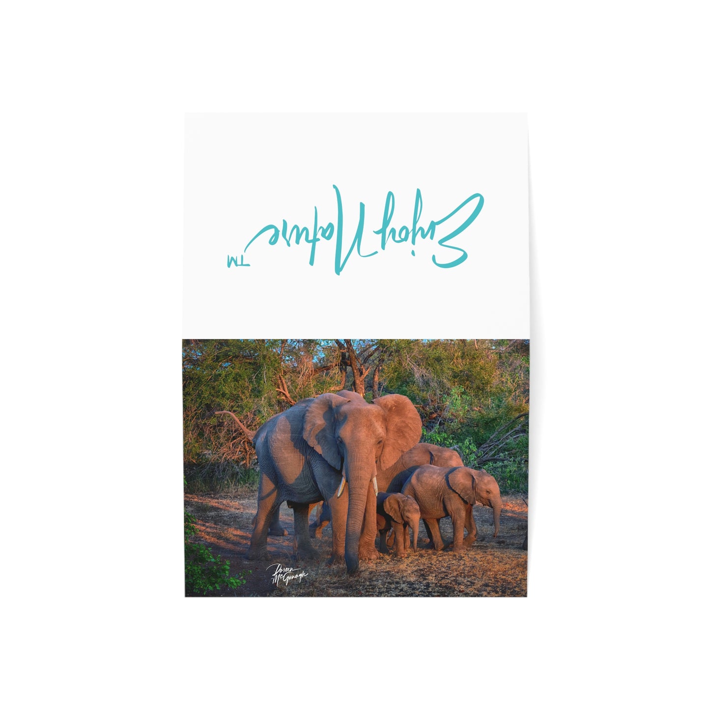 5x7 note cards Elephant Family Portrait (10 pcs)